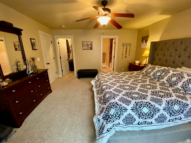 THE COVE - Residential