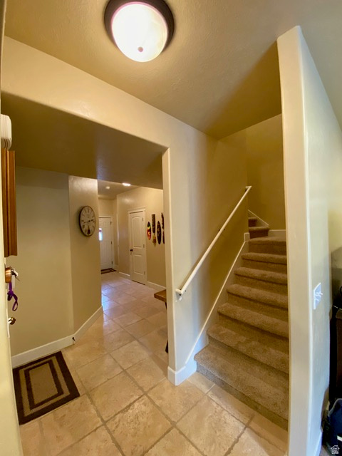 THE COVE - Residential