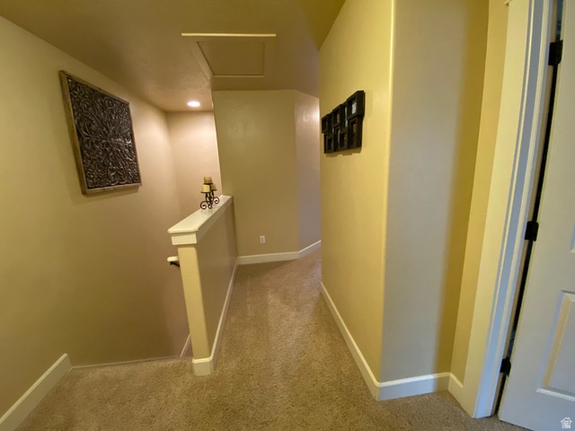THE COVE - Residential