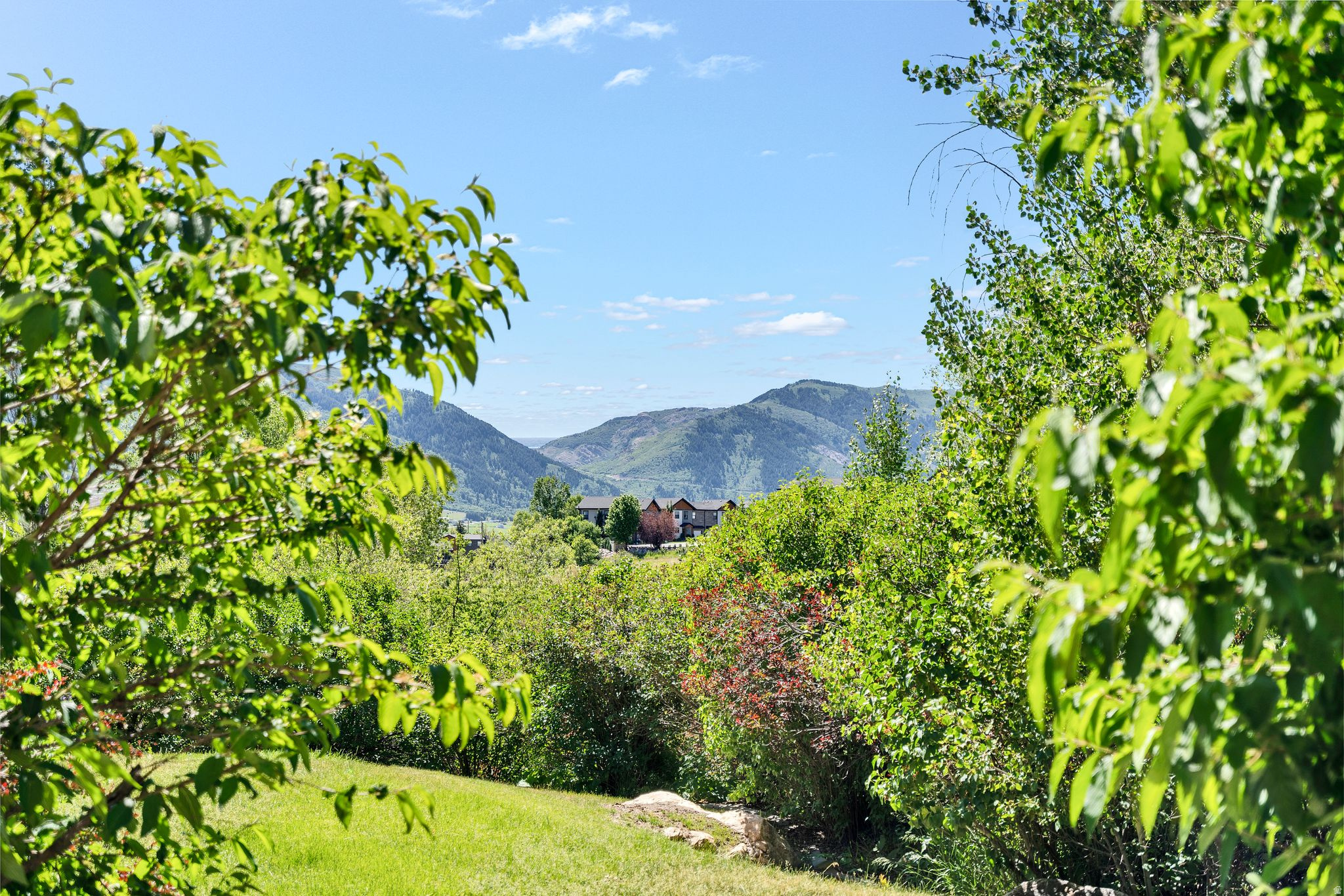 MOOSE HOLLOW - Residential