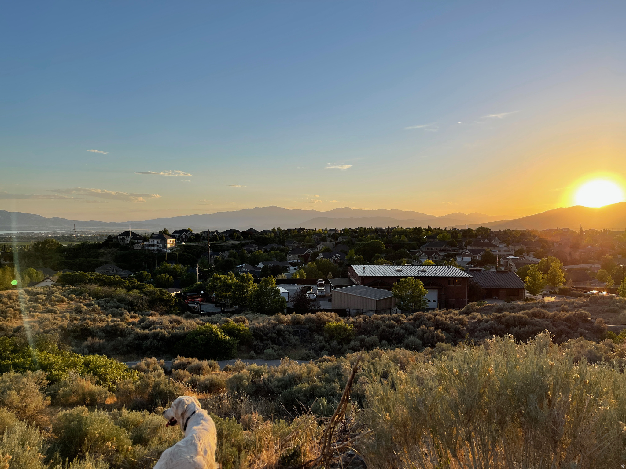 Build the home you've been envisioning on this elevated lot with sweeping views of the lake, valley, and surrounding mountains. Backing to protected open space where building is not allowed, preserving the views. No HOA. Close to American Fork Canyon, outdoor recreation, resort areas, and Cedar Hills golf course. The sale includes fully engineered house plans designed for this specific lot.
