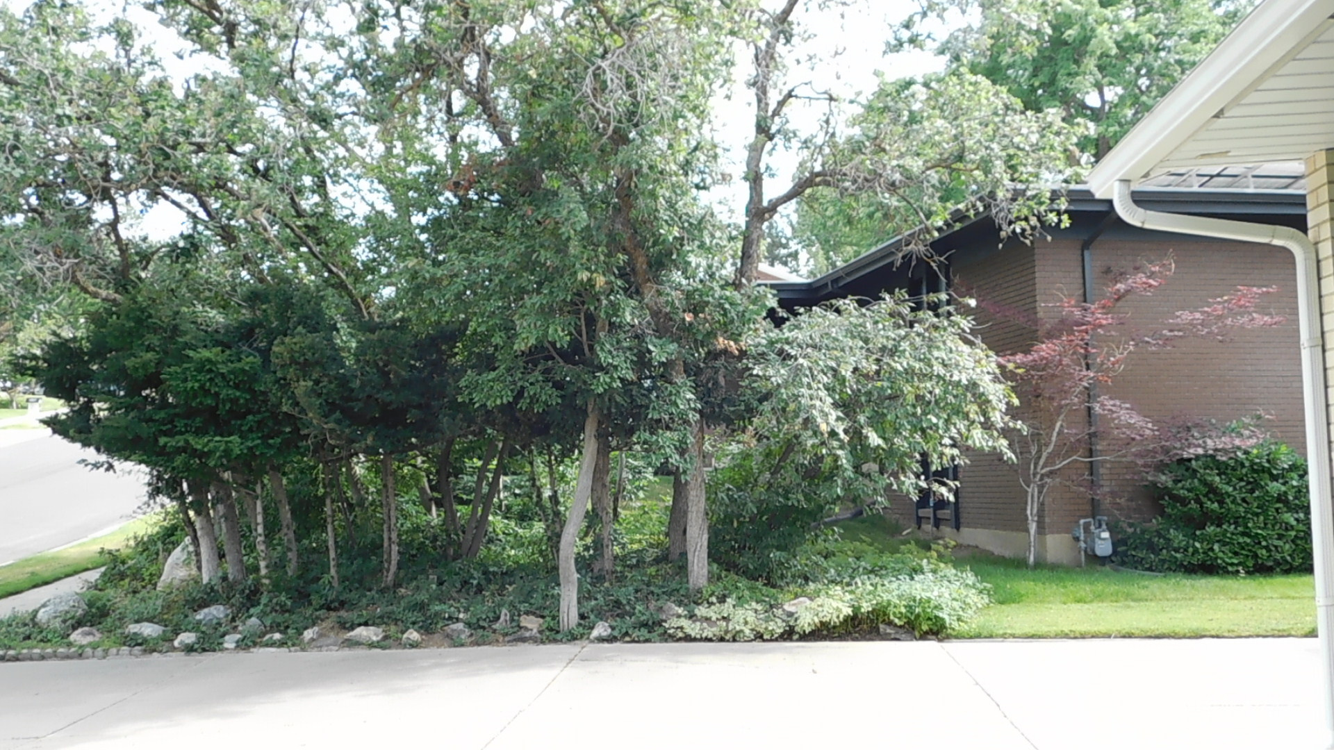 OAKRIDGE MANOR - Residential