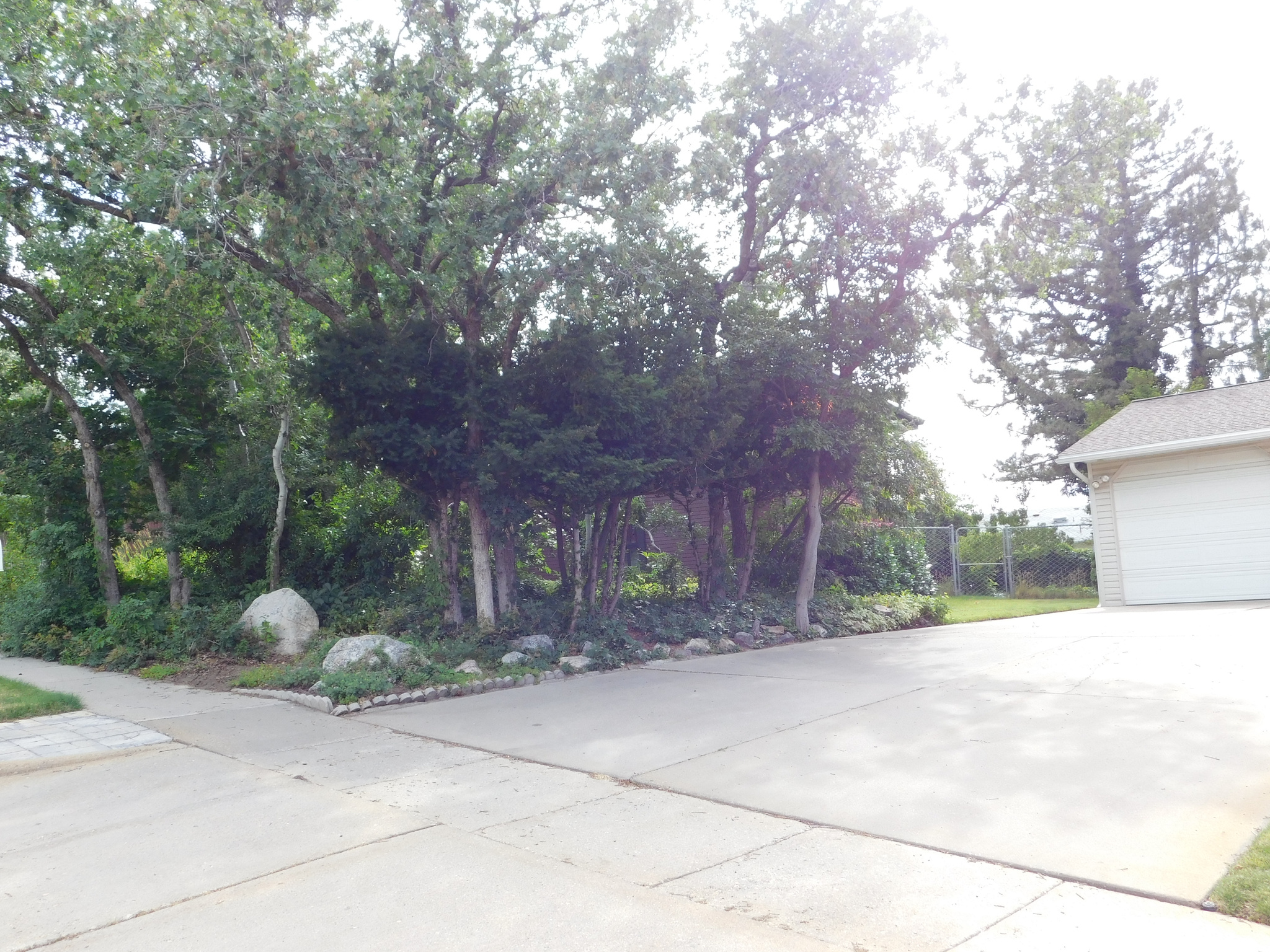 OAKRIDGE MANOR - Residential