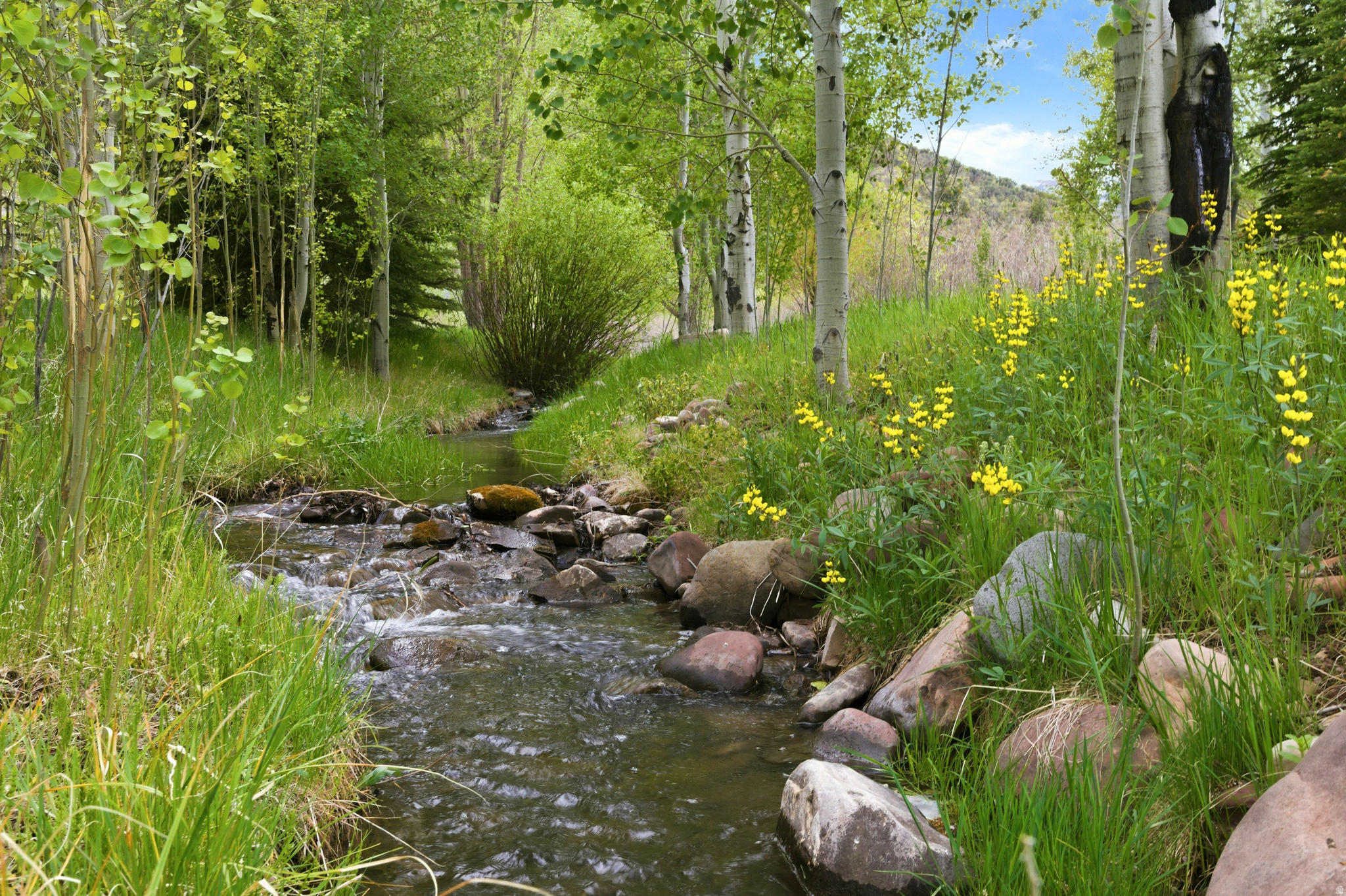 QUARRY MOUNTAIN - Residential