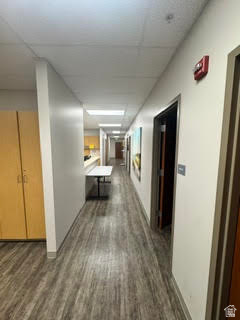 REDWOOD MEDICAL CAMPUS - Commercial Lease