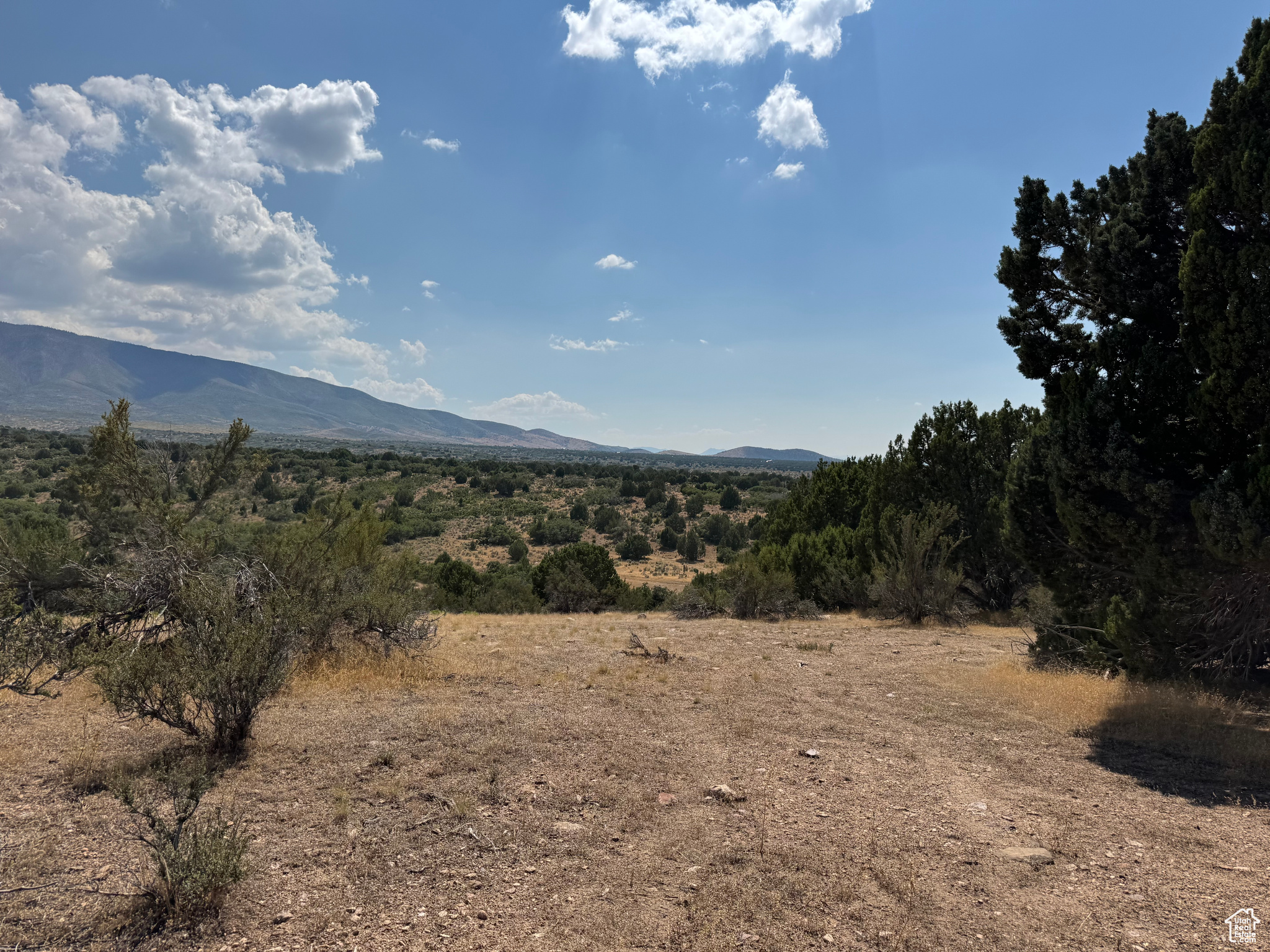 One of several large acreages available in the "June Brush" area on the outskirts of Fillmore. This 5 acre lot has amazing views of the valley to the west and the mountains to the east, and sits at one of the highest points on the hill. Full of deer, turkeys and other wildlife. Perfect recreational property year-round. If you would like to drill a well, there are underground water rights available to purchase for $20,000 per acre foot. Additional parcels available next to this one if you want a larger investment. From 700 East in Fillmore, head south on Sand Rock Ridge Road to 700 South, just on the south side of the homes. There is a 66' dirt road access and a 30' easement to the 5 acres. Address and maps are approximate. Red dashed line in the pictures is the Fillmore City limits.