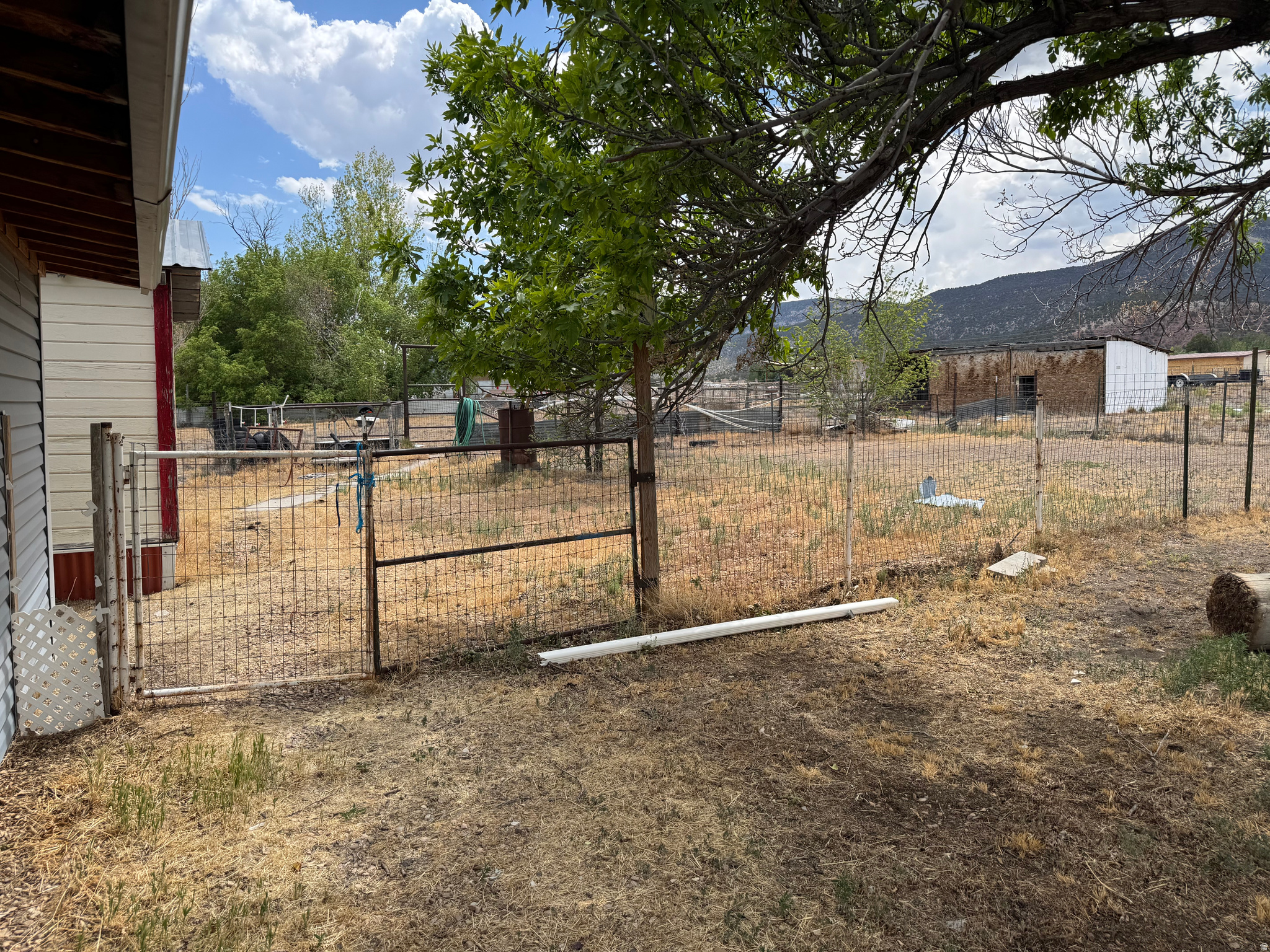 DAILEY MINOR - Residential