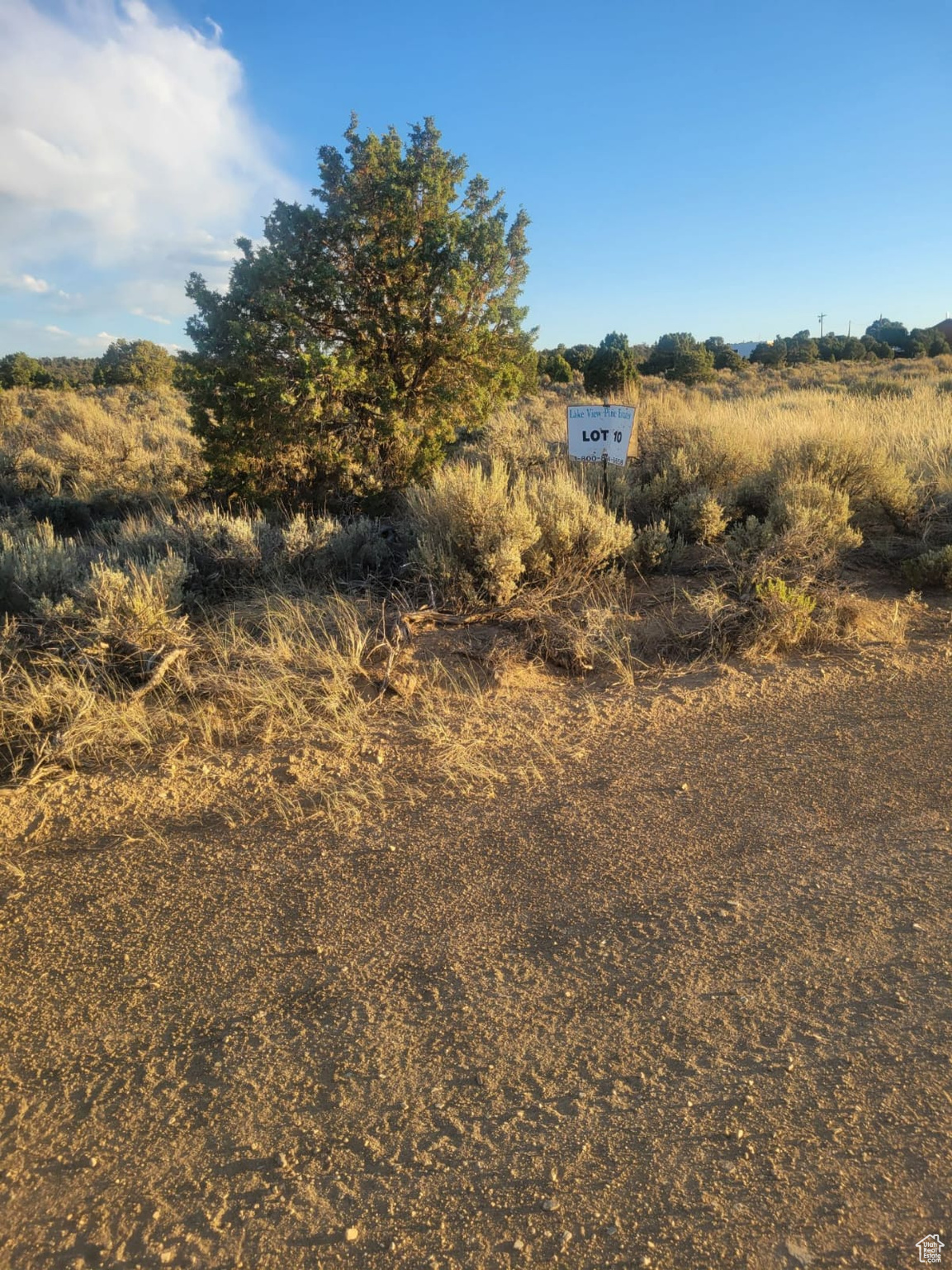 LAKE VIEW PINES - Land