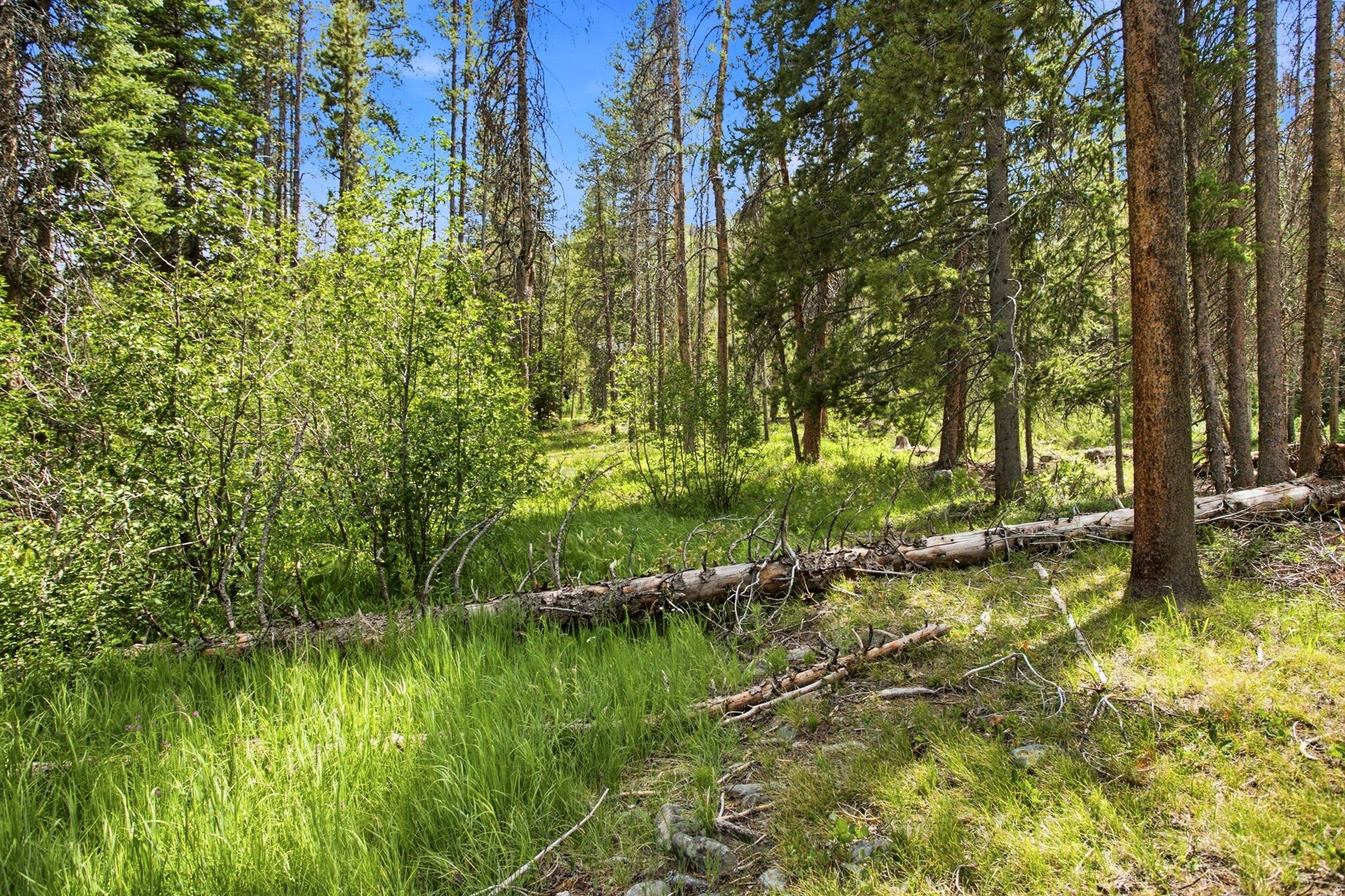 ALPINE ACRES PLAT D - Residential