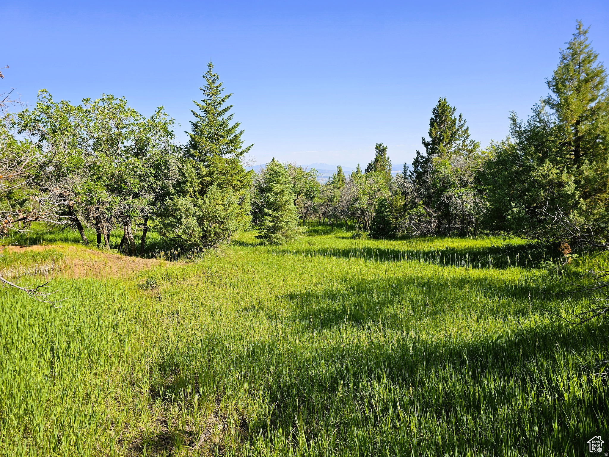 Pine trees, meadows, power, several different options for water, on this Private Recreational Property. Would you like 5, 10, 15, 20 acres, it's available here. Enjoy views of the Sanpete Valley and surrounding mountains. Over 5 acres of heaven to spread out on, and less than a quarter mile from a county paved and maintained road. Own your own land, NO HOA. Stop fighting the crowds! Come park your trailer, RV, tiny home, anything on wheels, even your family and friend's trailers-plenty of room! Elevation is 7,013 feet. Minutes away from the Manti-La Sal National Forest, Skyline Drive 350-mile trail system, lakes, hiking, ATV, hunting, fishing, snowmobiling, and much more. Get away from it all and enjoy the beauty of nature and cool, crisp, clean mountain air. About 12 minutes from Mt. Pleasant which is a small town with many amenities: hospital, restaurants, full service hardware and grocery stores, parks, community indoor swimming pool, even a drive-in theater. You could install propane for gas and a septic system for sewer, if you choose. Rocky Mountain Power is available for this lot. Water is a B-share for an additional cost, you haul from a fill station, have water delivered, drill your own well, or connect to a nearby water system. Within 100 yards of year round access in the winter time. Additional lots for sale. MLS map is correct. Buyer to verify all information. Google Earth or Maps are 39.47926, -111.40559