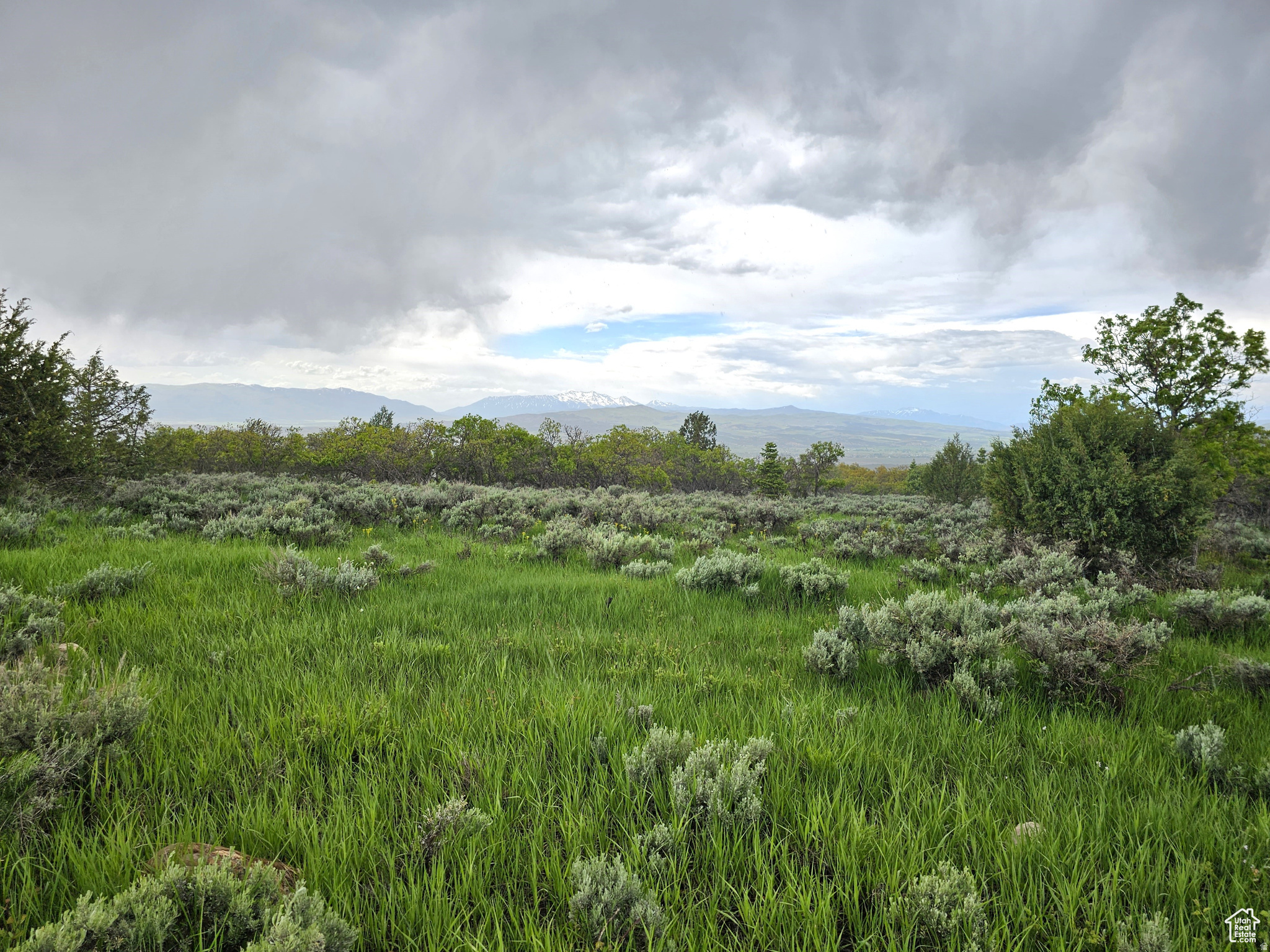SKYLINE ACRES - Land