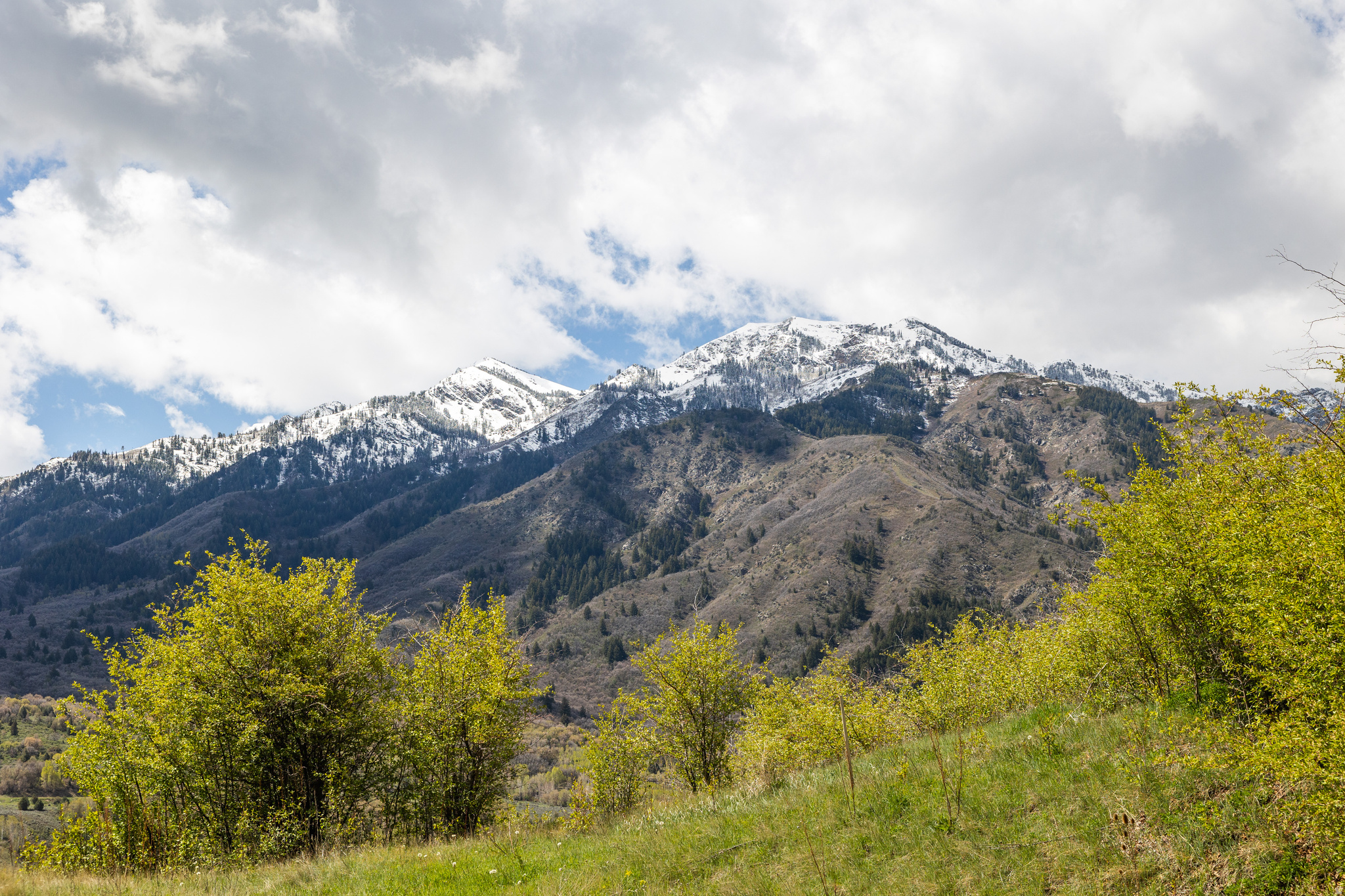 Some lots sell on specs, but this one's more likely to go based on what you might see from your future kitchen window. Situated at the end of a quiet cul-de-sac in Mountain Green, this incredible parcel sits against the Wasatch Mountains, and the views that surround are absolutely stunning. Any home that sits on this property will be well-positioned for peaceful days, wildlife sightings, and quiet nights full of stargazing. Wasatch Peak Ranch and Snowbasin are just minutes away, and I-84 will keep you as connected as you want to be (or not). All utilities are already at the street, which means the hard part is just deciding what to build. And while we can't tell you what to do, we CAN say with certainty that lots of windows and a couple of balconies should probably be a part of it. This is the kind of land people seek out for years...time to start building the life you've always wanted. *Open House/Land: Tuesday, May 5th and Saturday, May 23rd - 4pm-6pm*  Come enjoy the views, breathe in the fresh air, and experience this beautiful lot this Cinco de Mayo. Cheers to living your dream!
