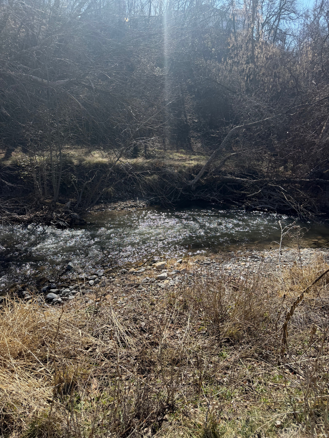 RAYLEEN ACRES - Land