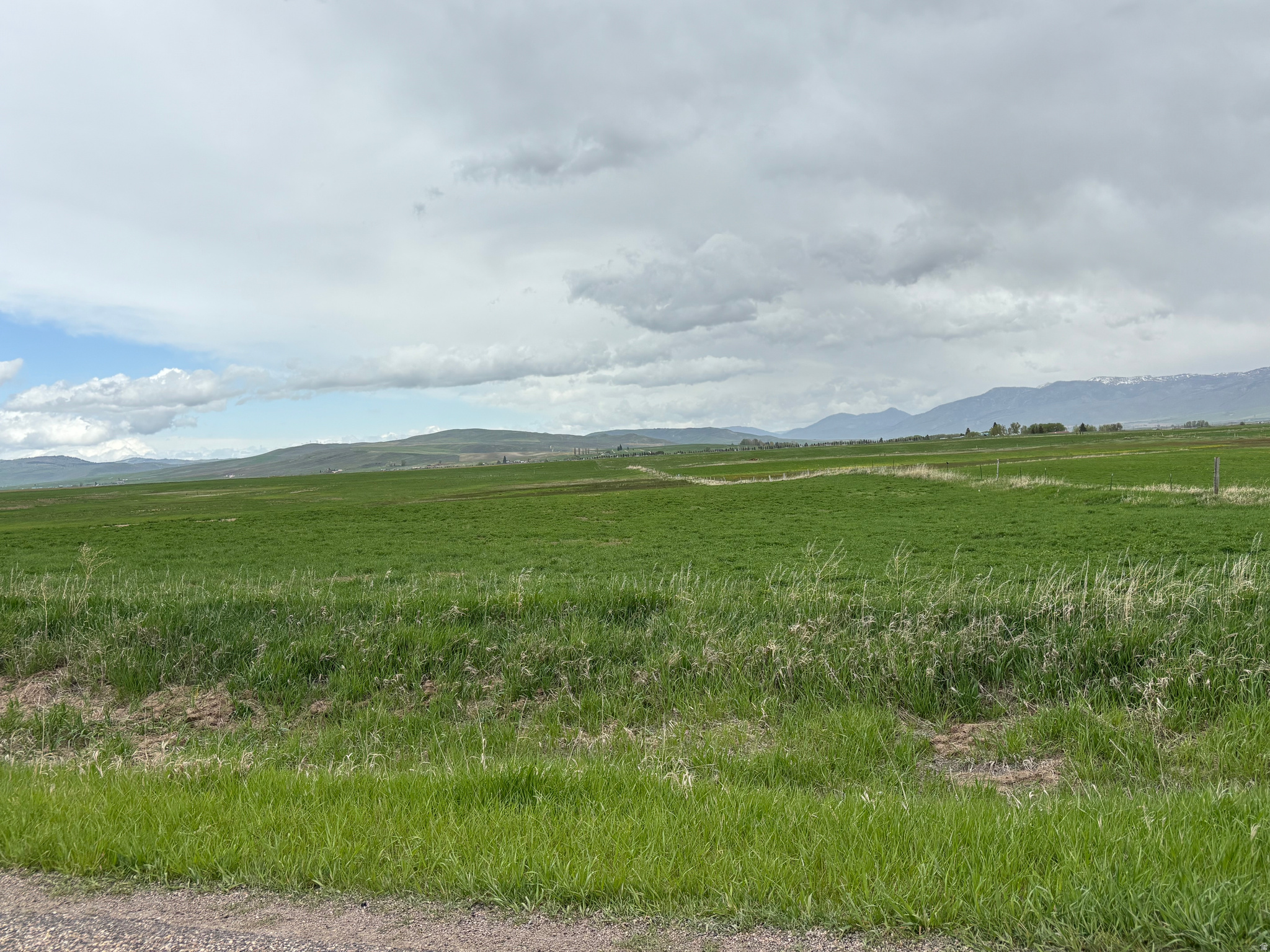 BAER ACRE FARMS - Land