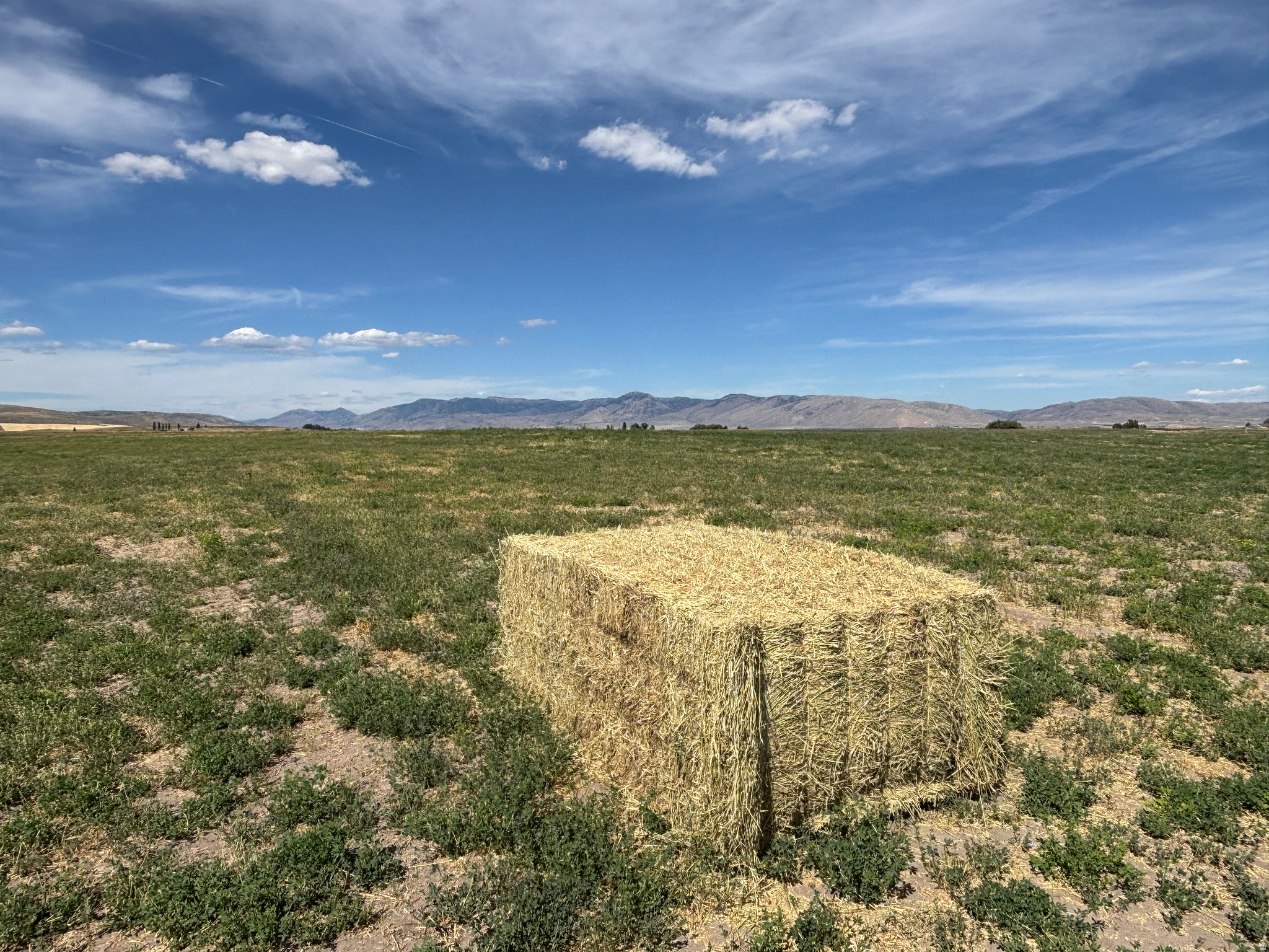 BAER ACRE FARMS - Land