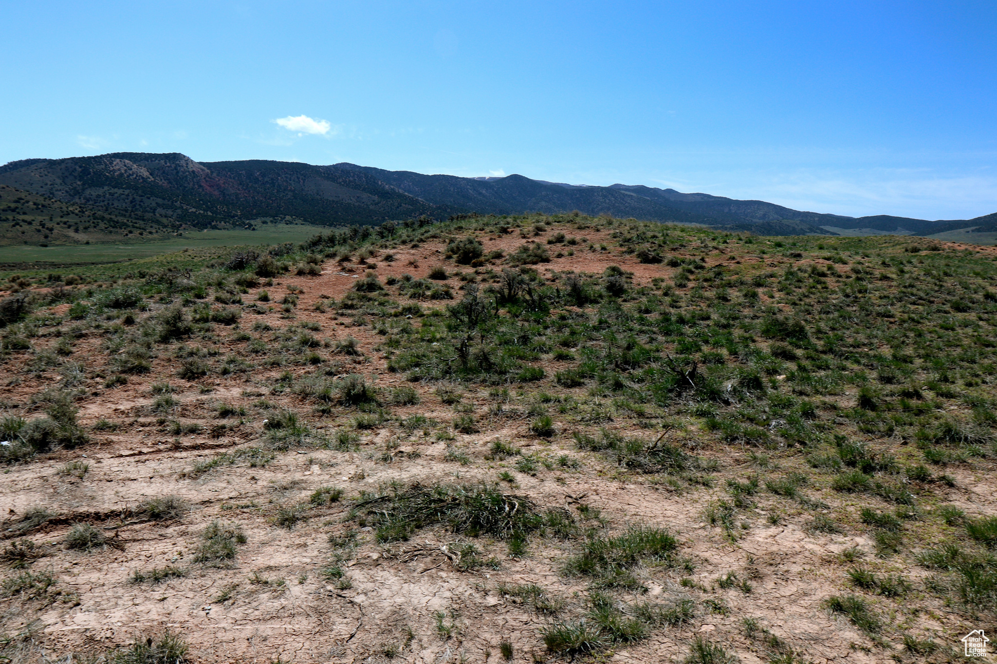 KIDD WARD DEVELOPMENT LLC - Land