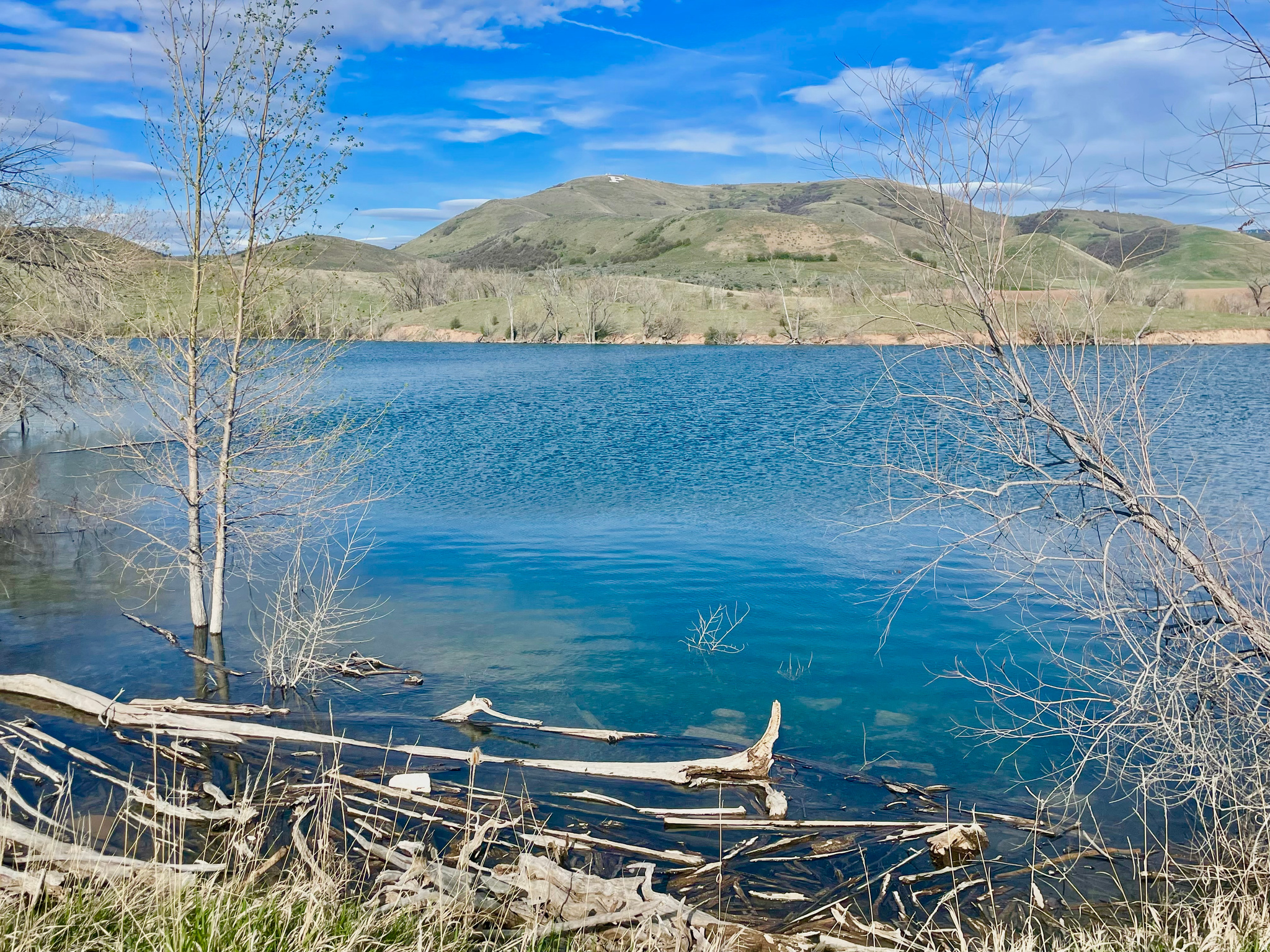 This property is incredible! Lot 1 is waterfront so you can enjoy all the beauty and recreational opportunities that Lamont Reservoir has to offer. The 5.85 acre property has several great spots to build that will give you views of the mountains in every direction. The property is ideal for horses or other animals, and it has plenty of space for a shop or barn. The lot has 499 feet of frontage along Lamont Reservoir. The reservoir is great for fishing, paddleboarding, kayaking, and swimming. The property is close to amazing trails, snowmobiling, hunting, and so much wildlife. It's only a few minutes outside of the town of Preston, ID. The lot has had power stubbed and has passed a PERC test. The buyers will need to drill a well.  Additional land is available. 2200 E (the road leading to the subdivision) will be paved this summer. Owner/Agent.