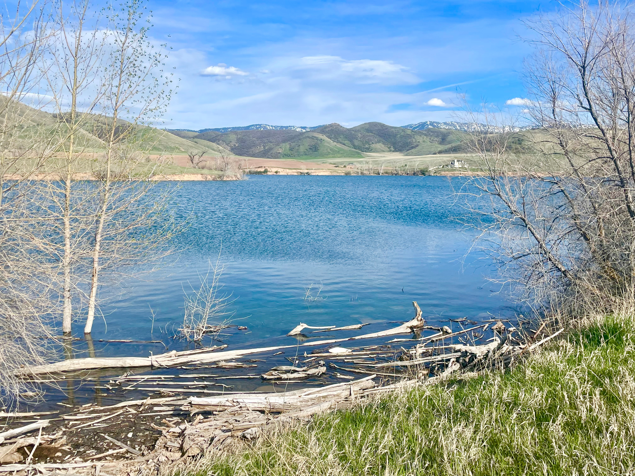 COTTONWOOD ESTATES SUBDIVISION - Land