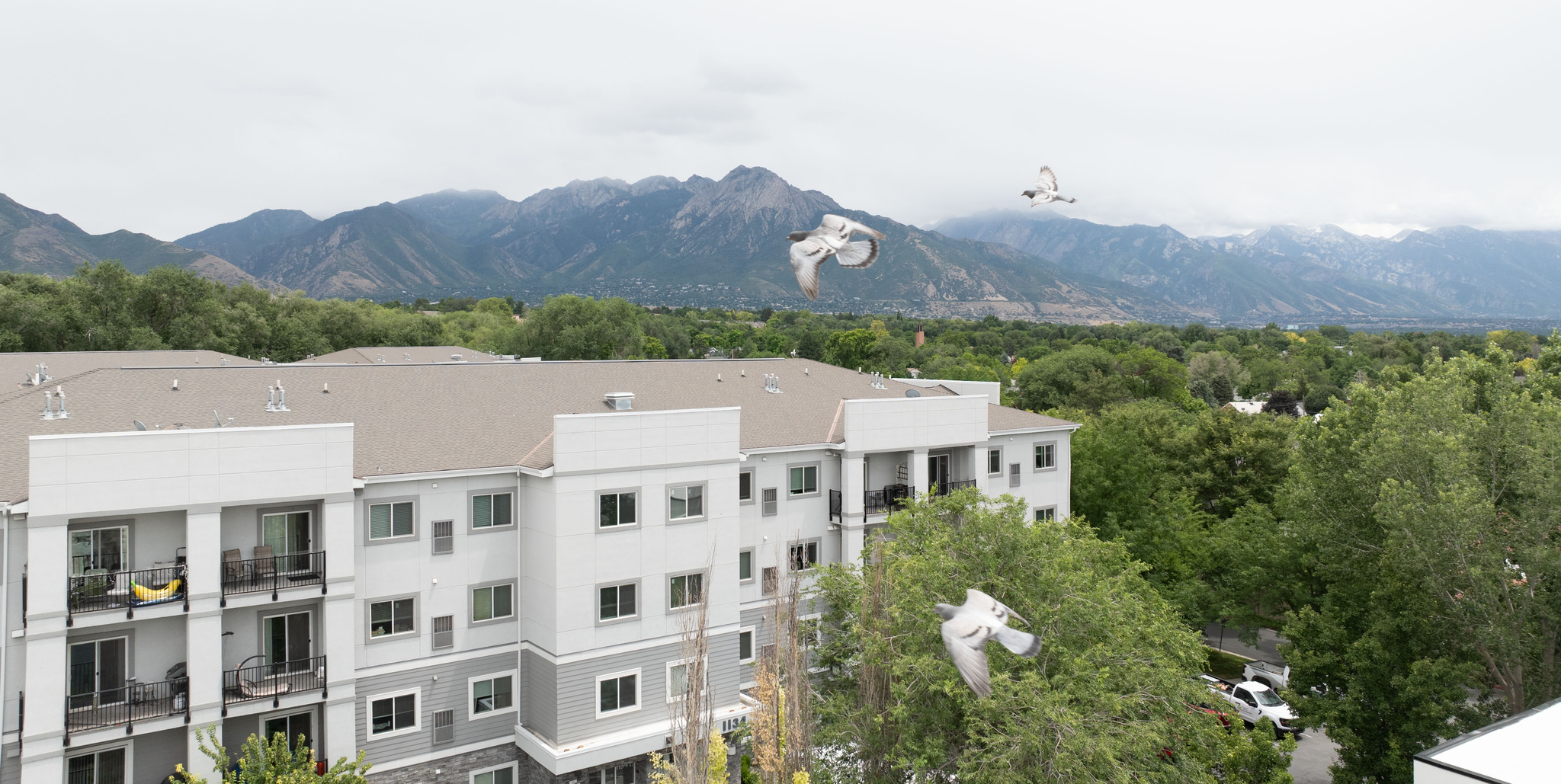 MILLCREEK HOLLOW CONDOMINIUMS - Residential