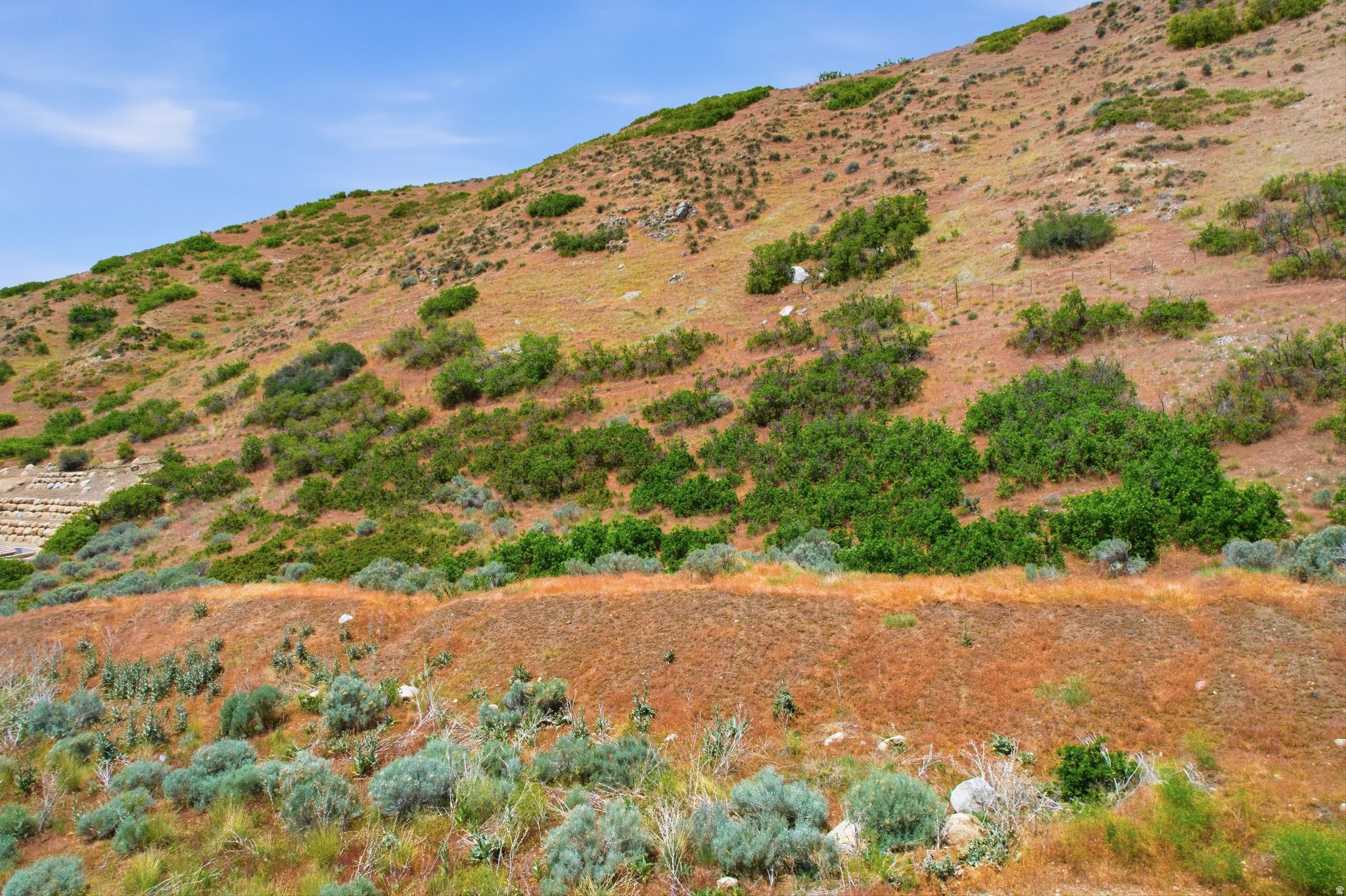 RIDGE - Land