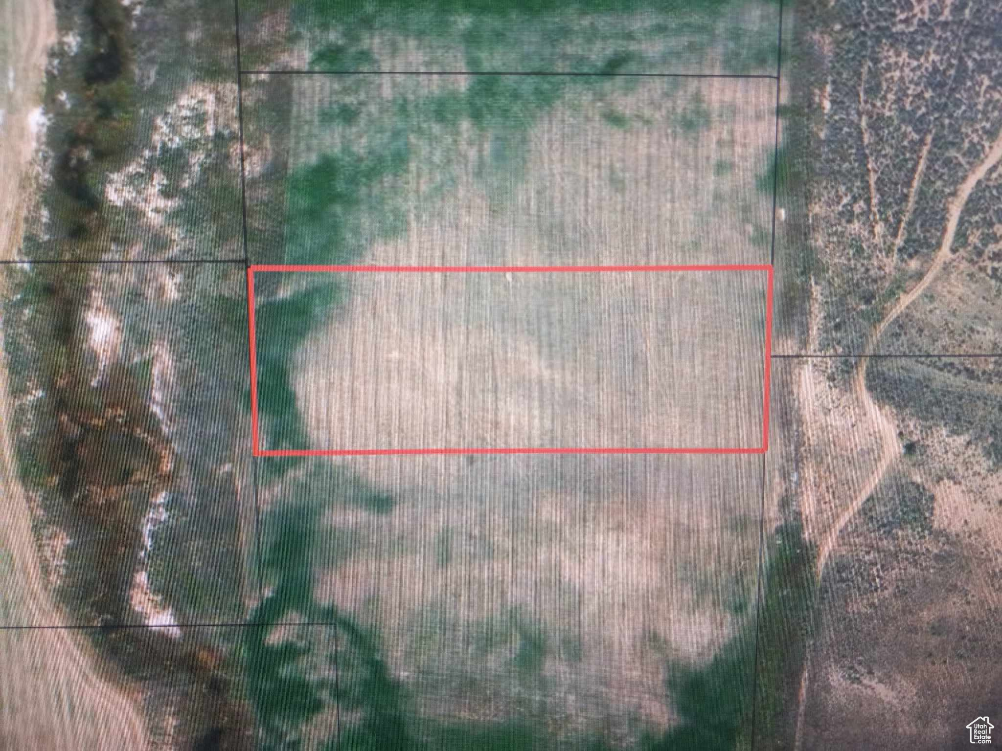 PINDEROSA 2 - Land