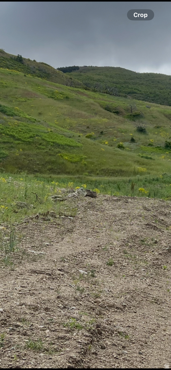 ROCK LOFT RIDGE ESTATES - Land