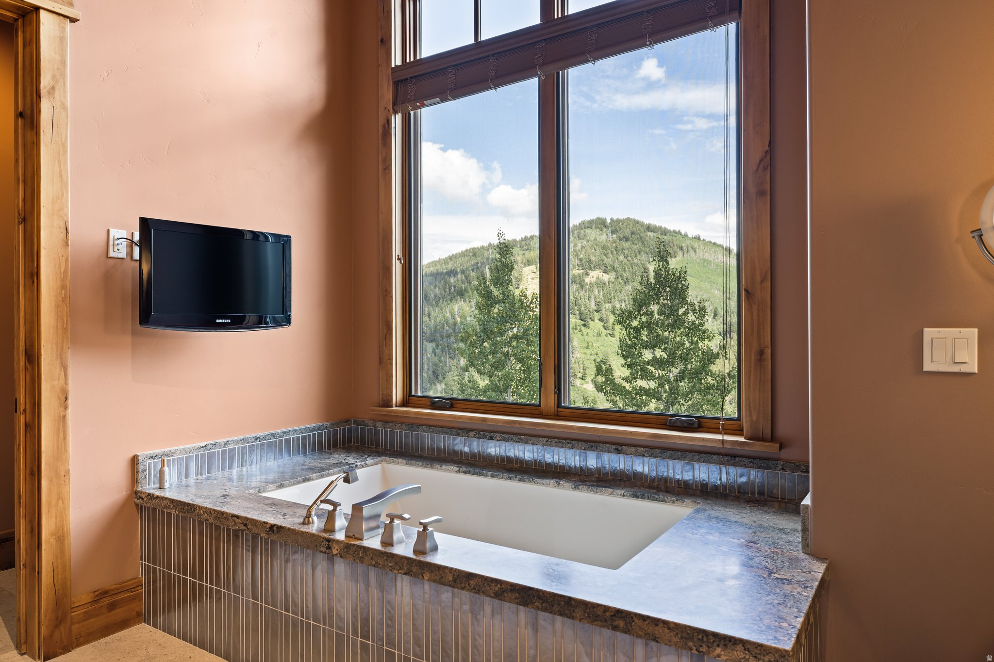 THE COLONY AT WHITE PINE CANYON - Residential