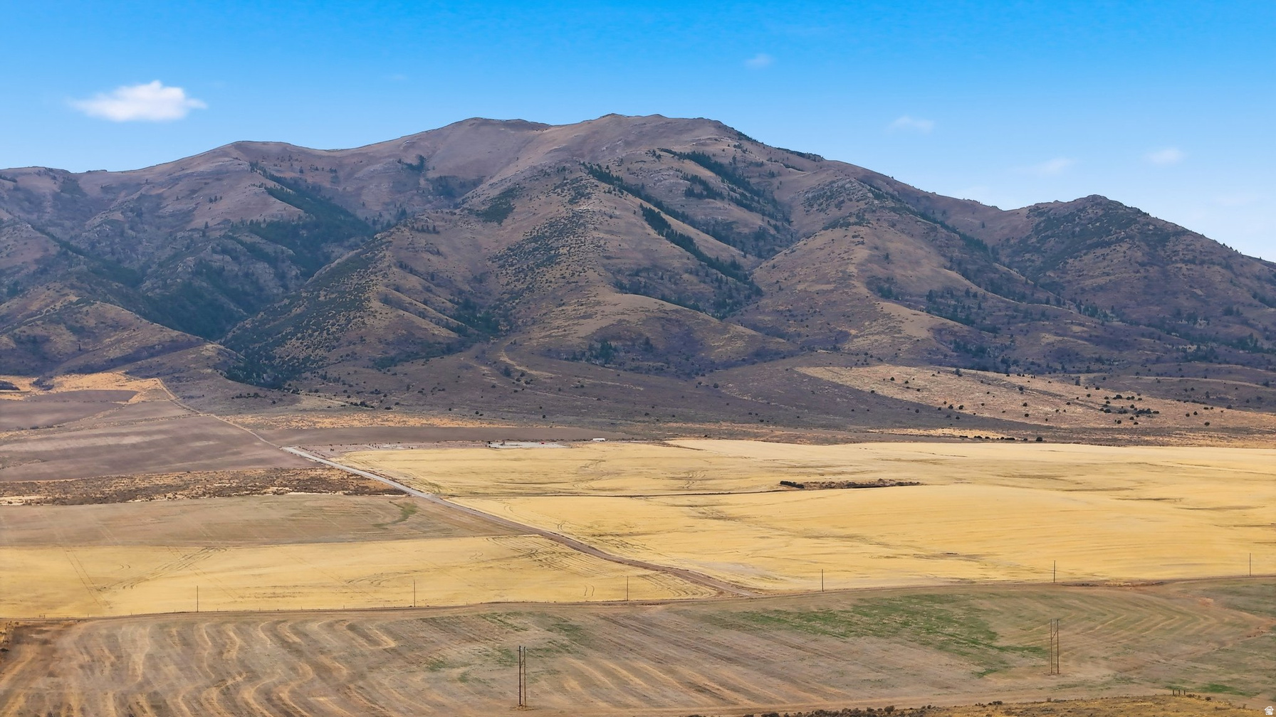 CAMPBELL - Land