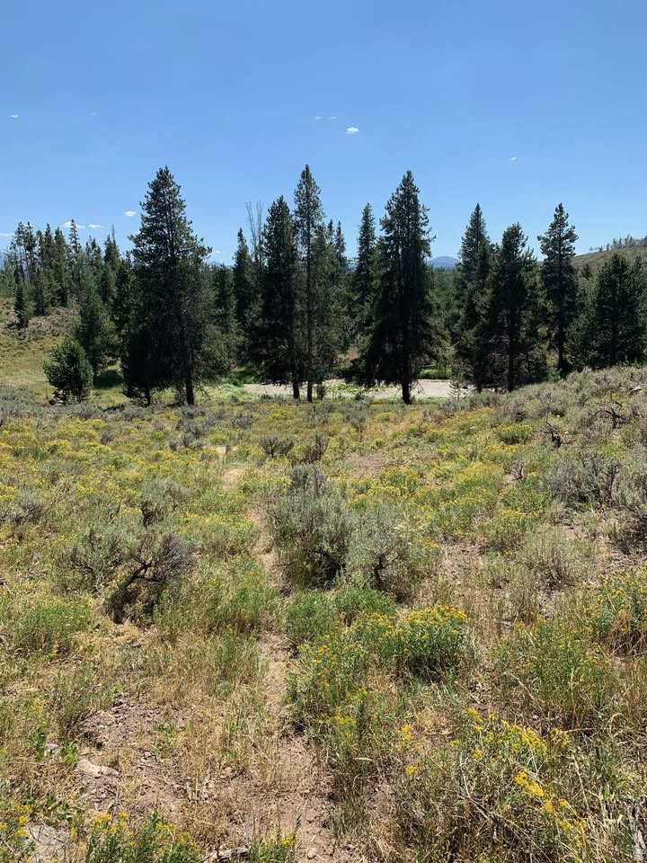 MANOR LANDS - Land
