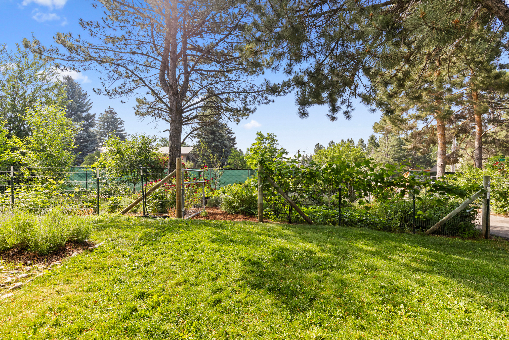 EDEN HILLS - Residential