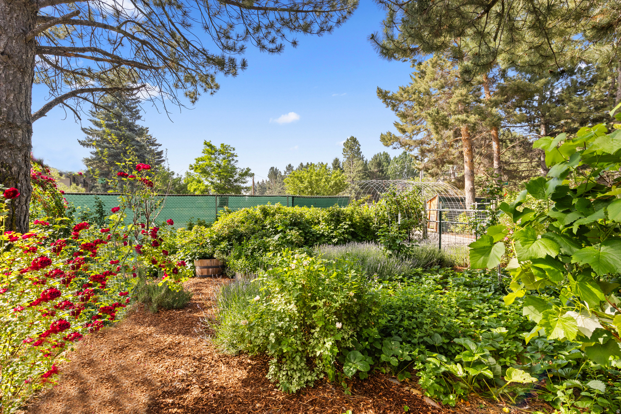EDEN HILLS - Residential