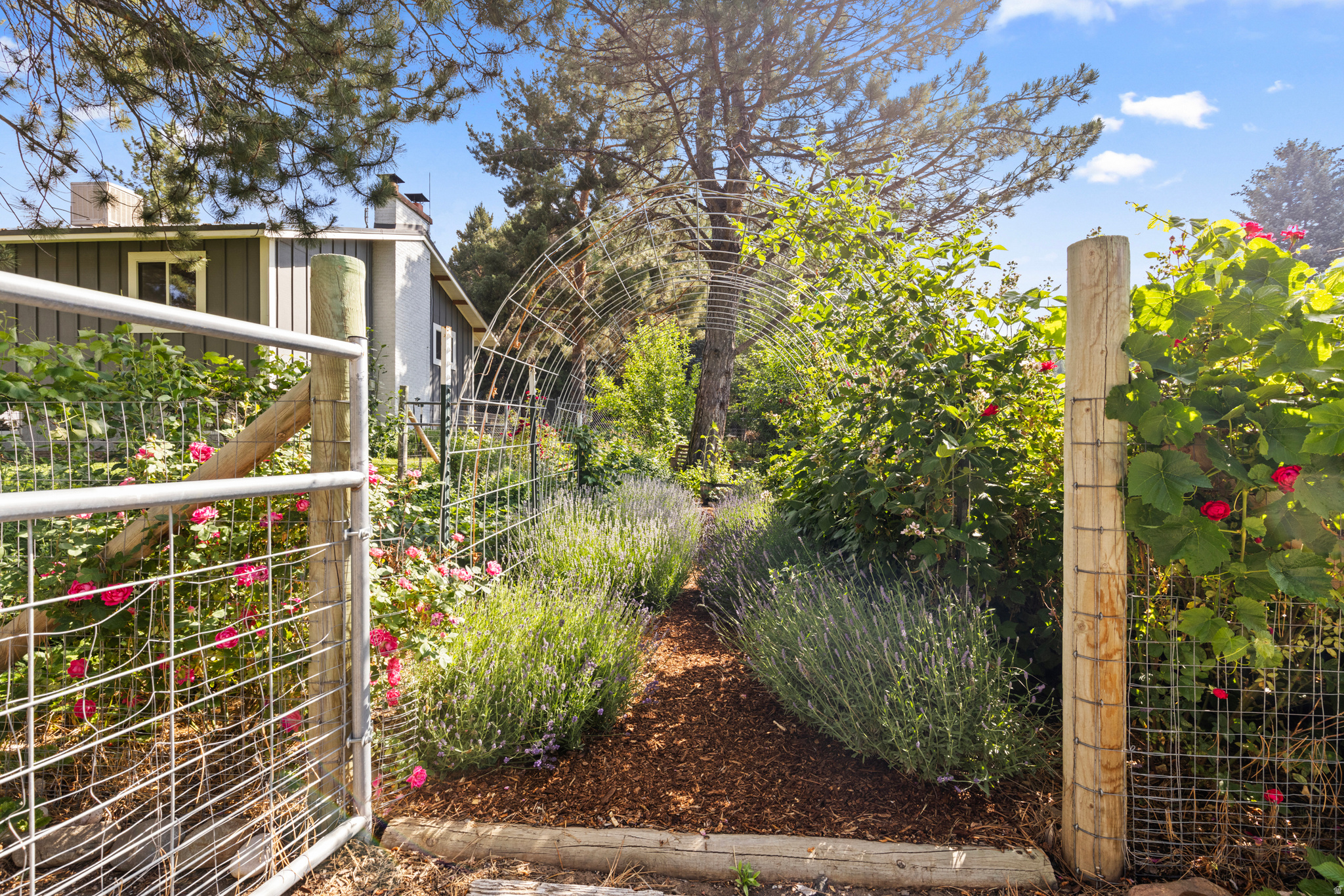 EDEN HILLS - Residential