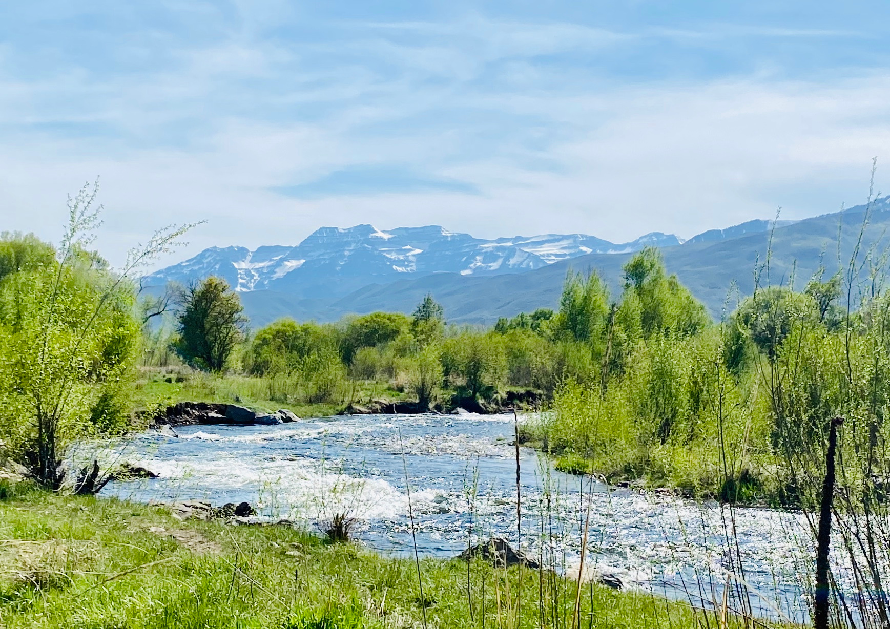 RIVER VIEW - Residential