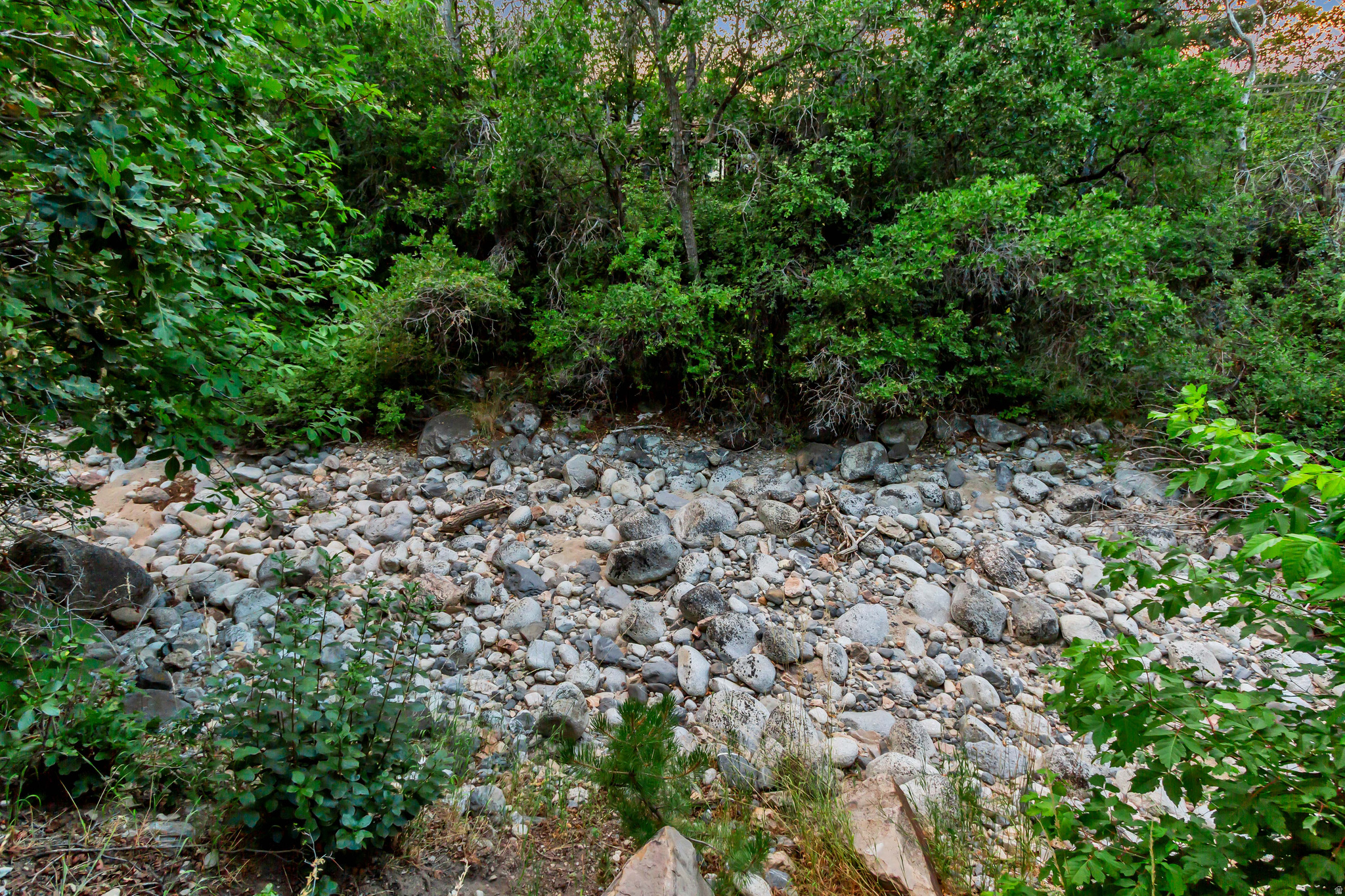 ALPINE ESTATES - Residential