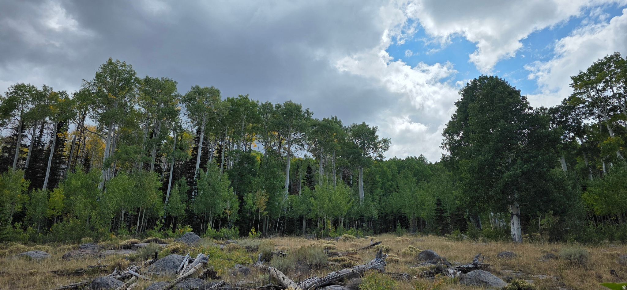 HENRIES HOLLOW PHASE 2 - Land