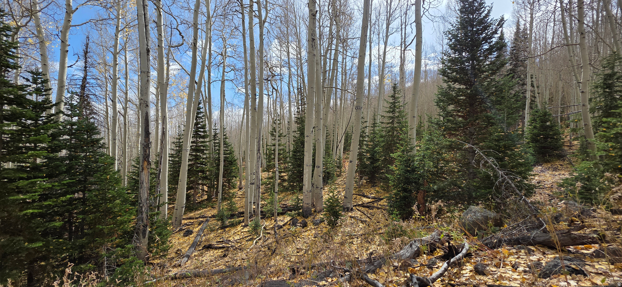 HENRIES HOLLOW PHASE 2 - Land