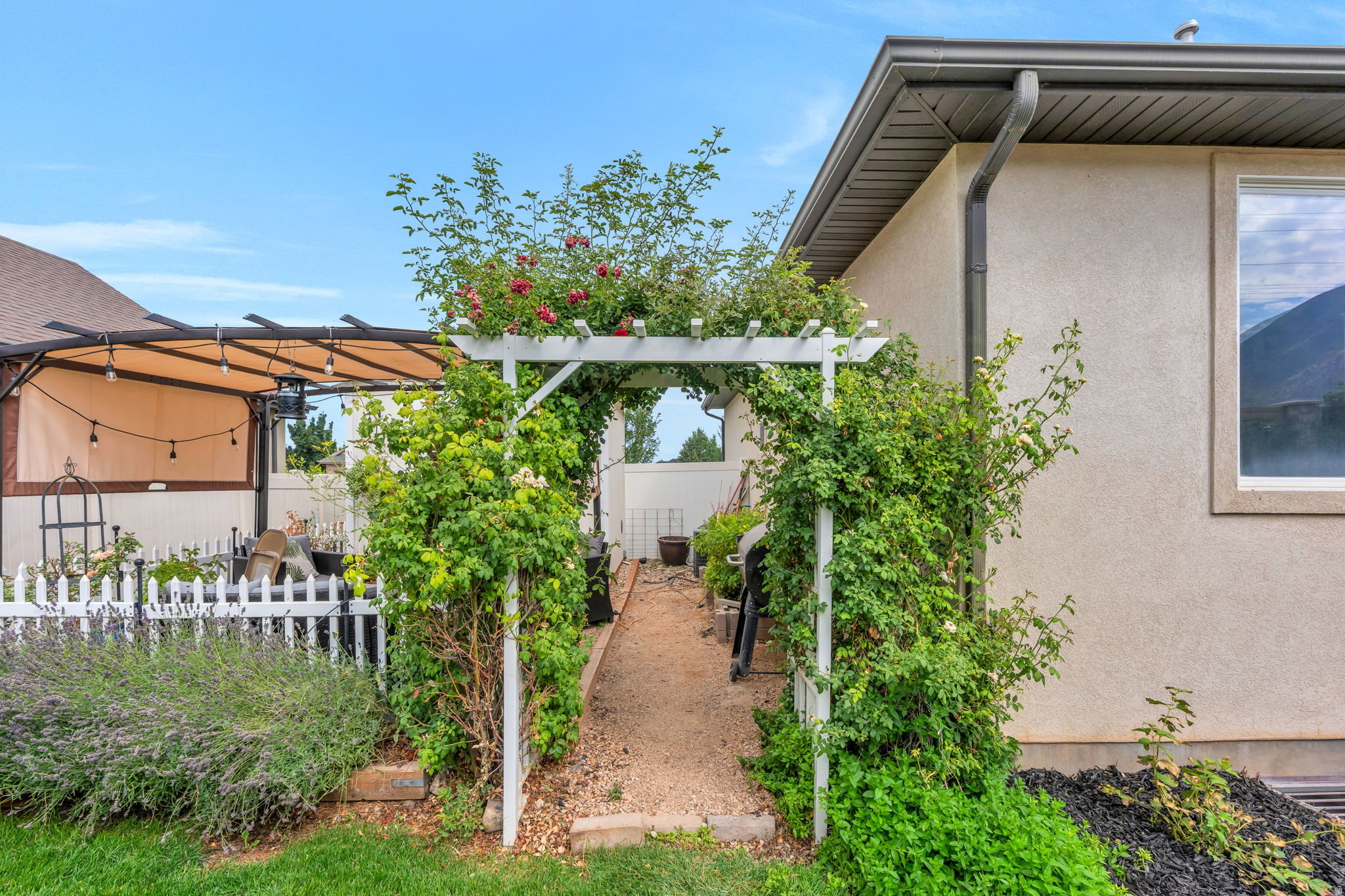 MOUNT LOAFER VIEW - Residential