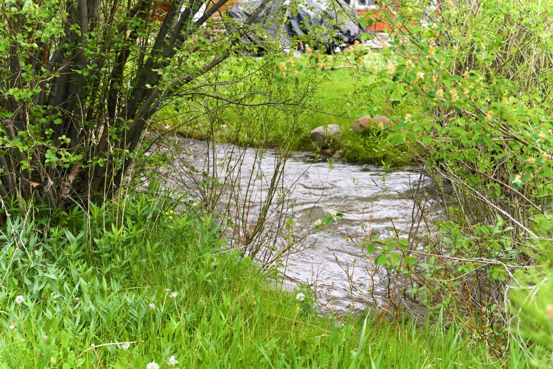 This flat 0.88-acre creekside lot is ideal for a custom mountain retreat or year-round home. Enjoy fishing, biking, hiking, wildlife watching, with easy access to golf, boating, and skiing at nearby Deer Valley East Village and Mirror Lake snowmobiling trails. Just 20 minutes from Park City and one hour from Salt Lake City, it offers peace, privacy, and adventure. The property includes a septic system, well, and five water shares in the Beaver and Shingle Creek Irrigation Company.