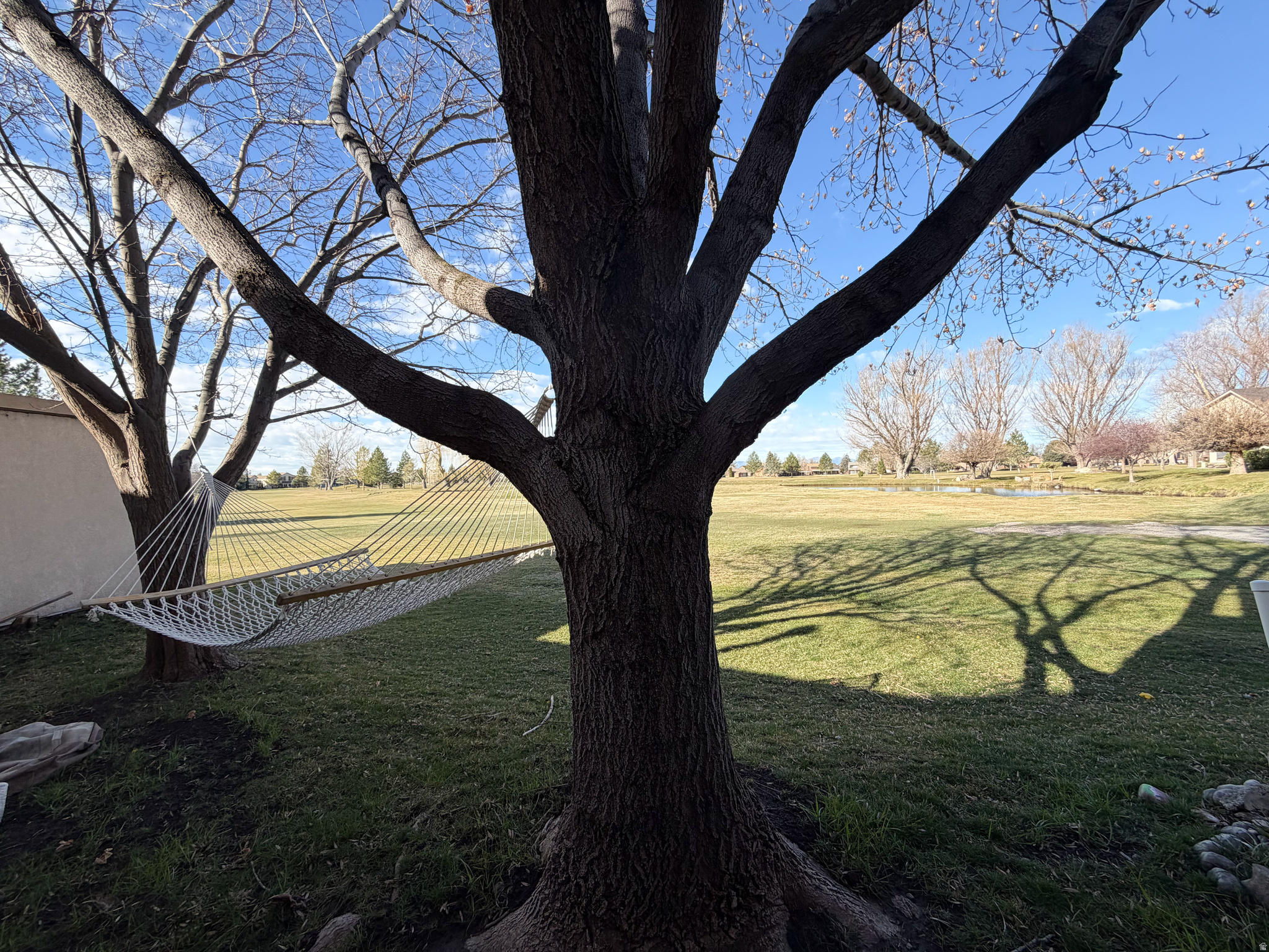 PLEASANT MEADOWS - Residential