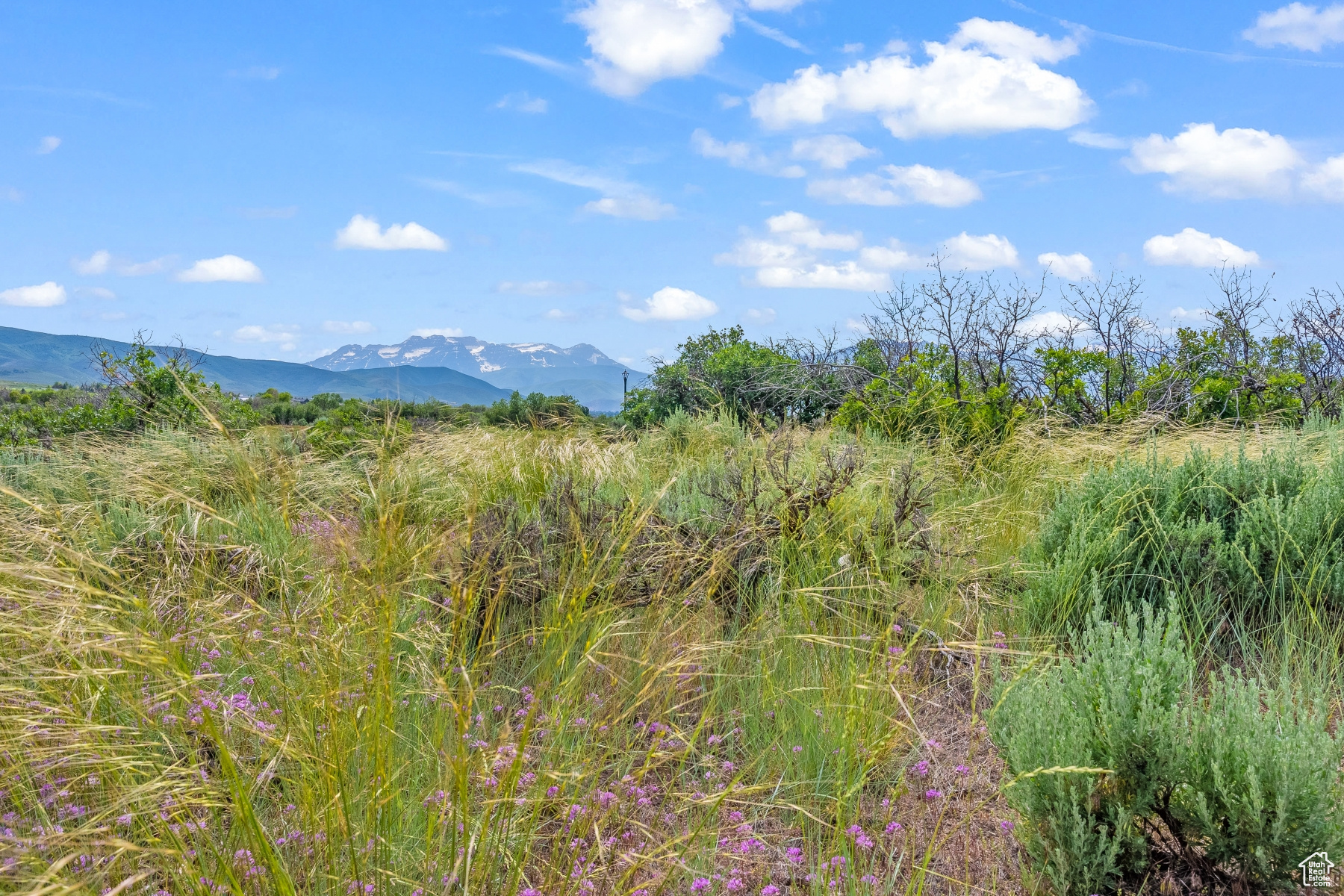 BLUE SAGE RANCH - Land