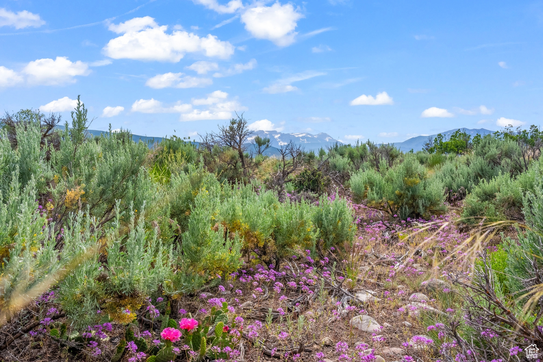 BLUE SAGE RANCH - Land