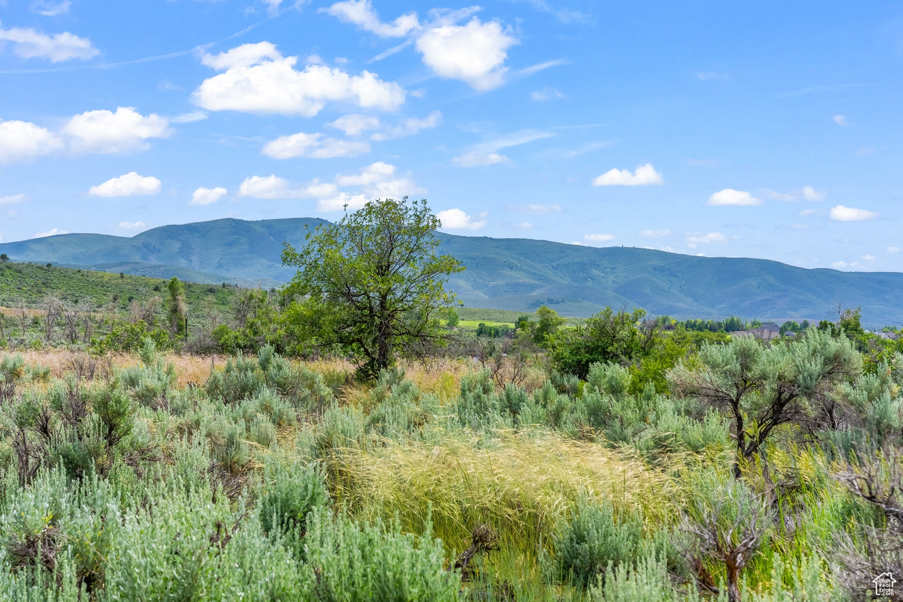 BLUE SAGE RANCH - Land