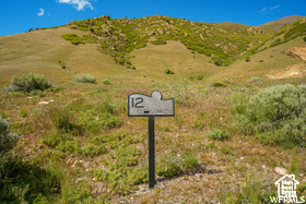 COTTONWOOD - Land