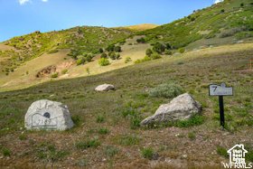COTTONWOOD - Land