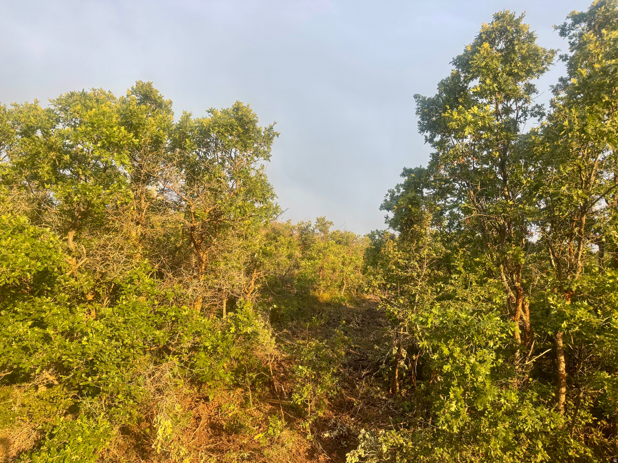TIMBER LAKES - Land