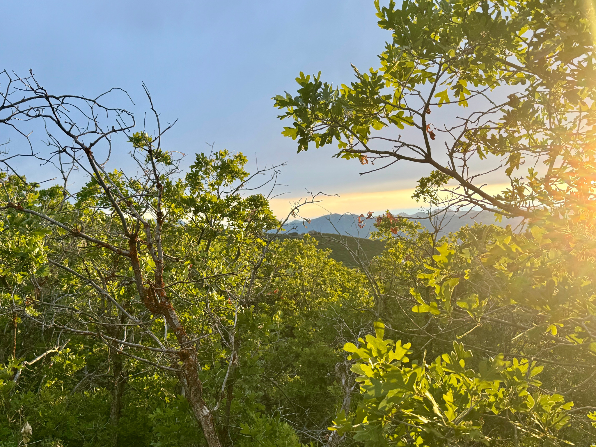 Build your dream mountain retreat on this ready-to-build lot featuring breathtaking valley and mountain views, spectacular sunsets, and an ideal mid-mountain location. With the perc test and survey already completed, it will be easy to start planning your custom home! Enjoy the perfect blend of privacy, natural beauty, and year-round accessibility, all while being just minutes from Heber City, Midway, and Park City. Whether you're seeking world-class skiing, championship golf, blue-ribbon fishing, miles of hiking and biking trails, or exceptional dining and shopping, everything is within easy reach. Come home each day to a peaceful mountain setting where incredible views and endless recreation are right outside your door!