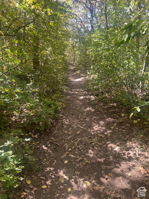 PLAT - Land