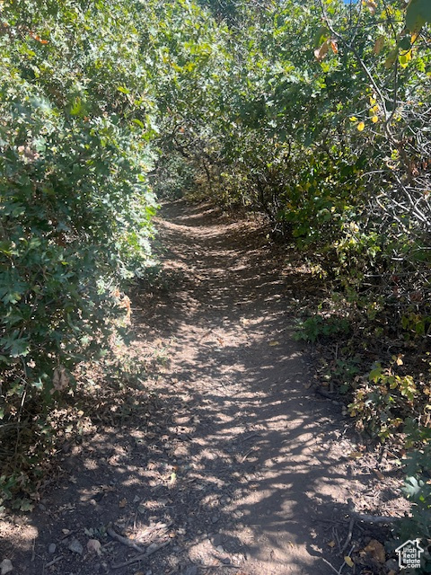 PLAT - Land