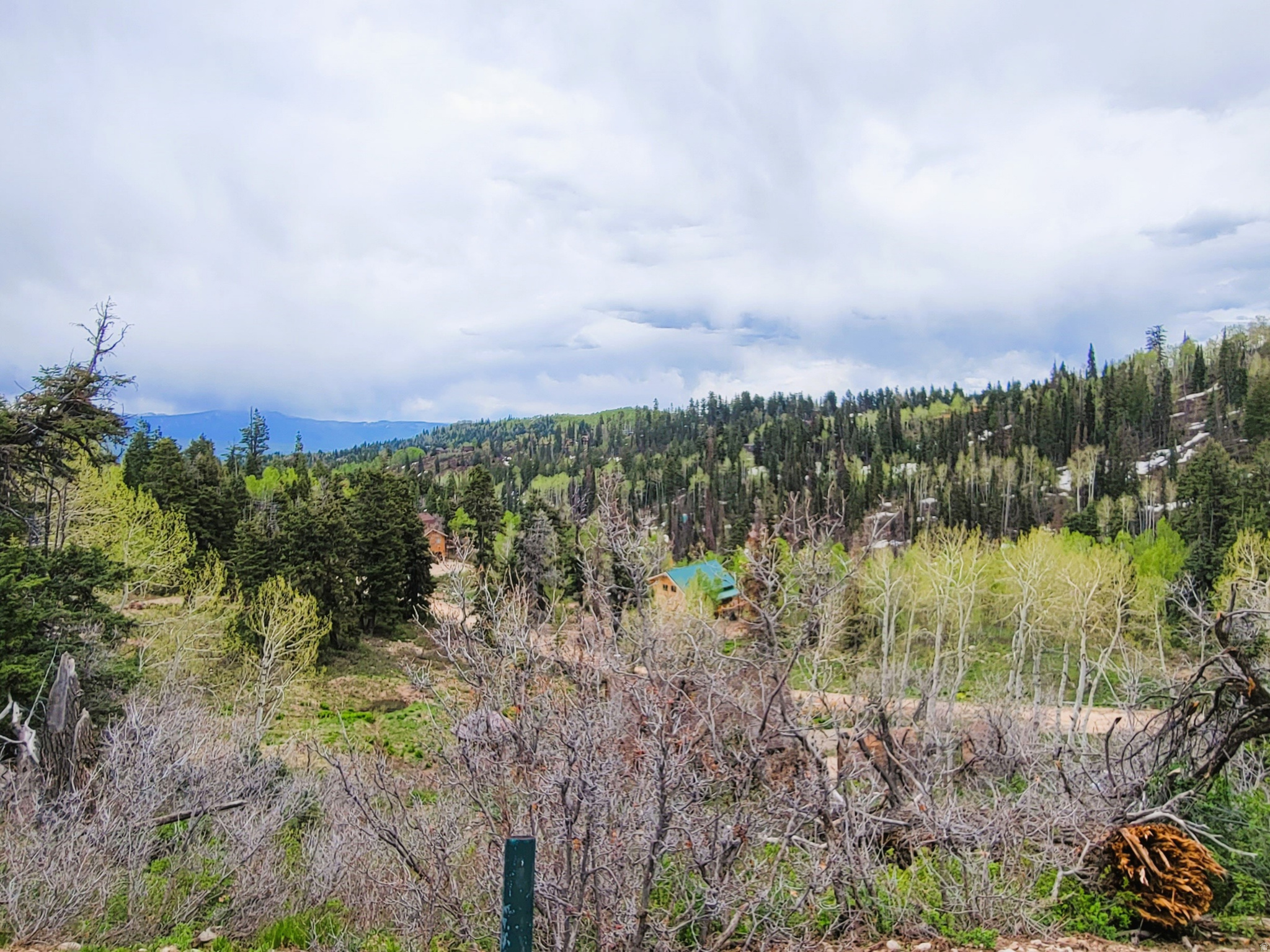 PINE MEADOW RANCH - Land