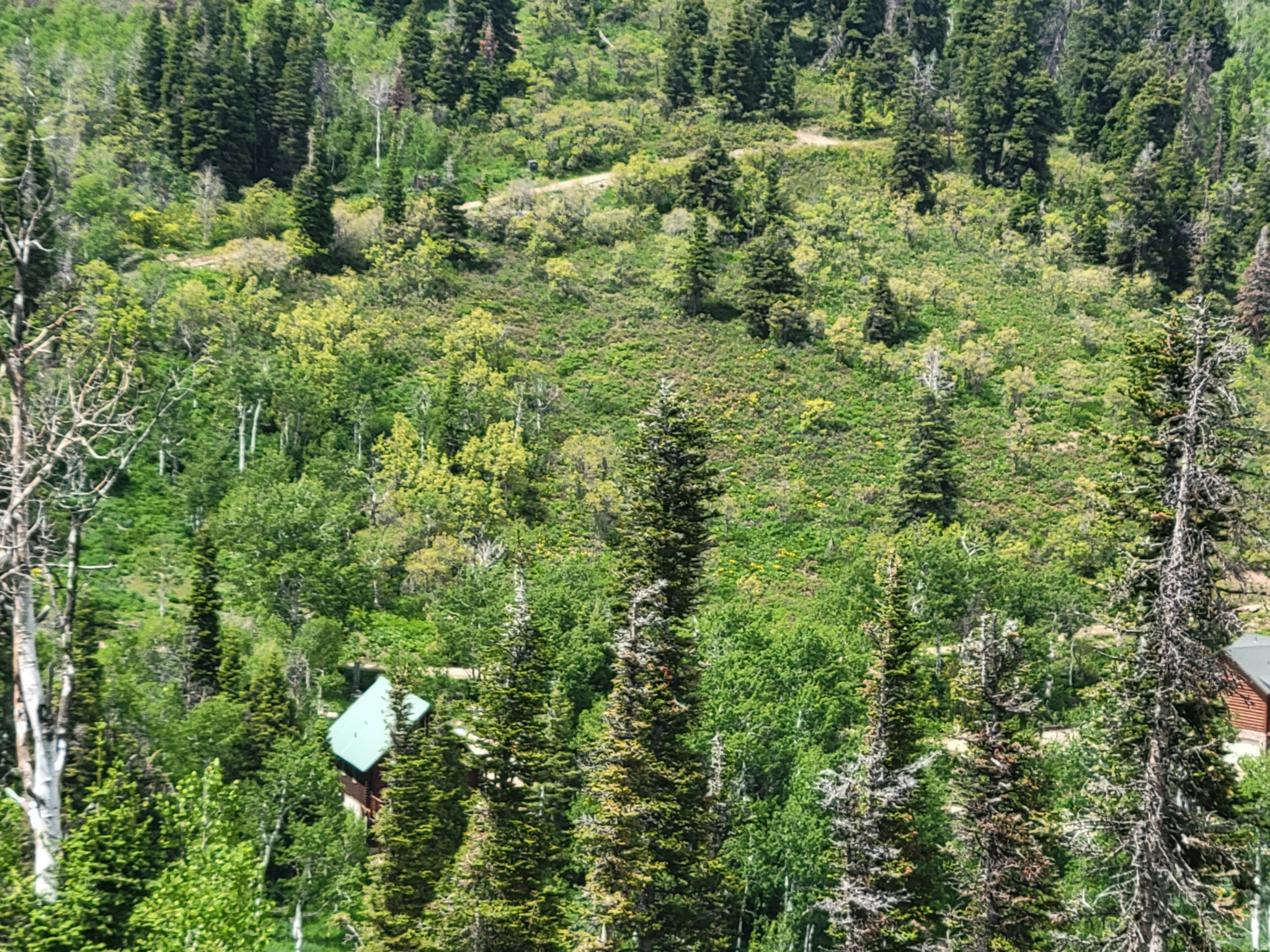 PINE MEADOW RANCH - Land
